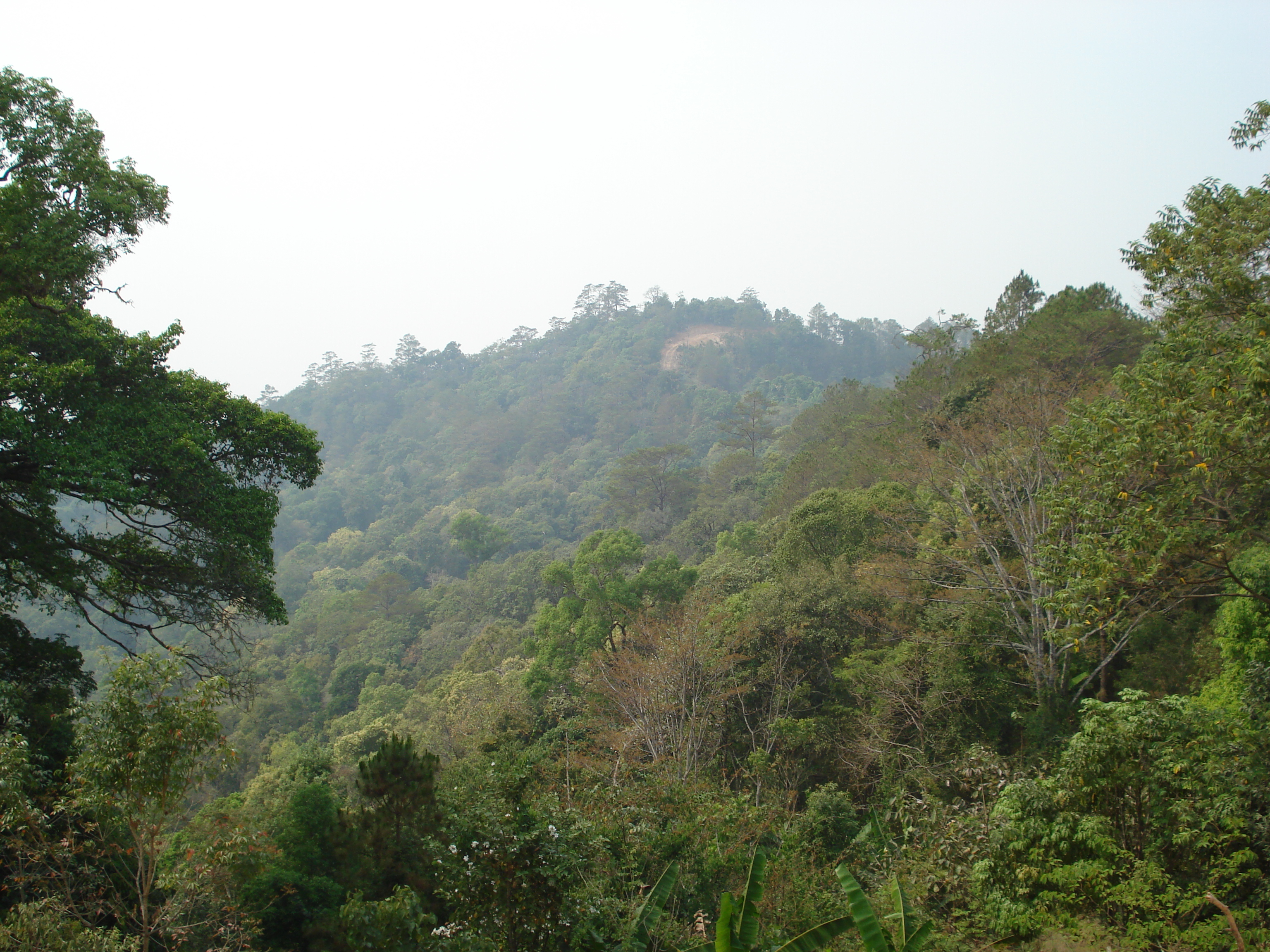 Picture Thailand Chiang Mai to Pai road 2007-02 45 - Tours Chiang Mai to Pai road