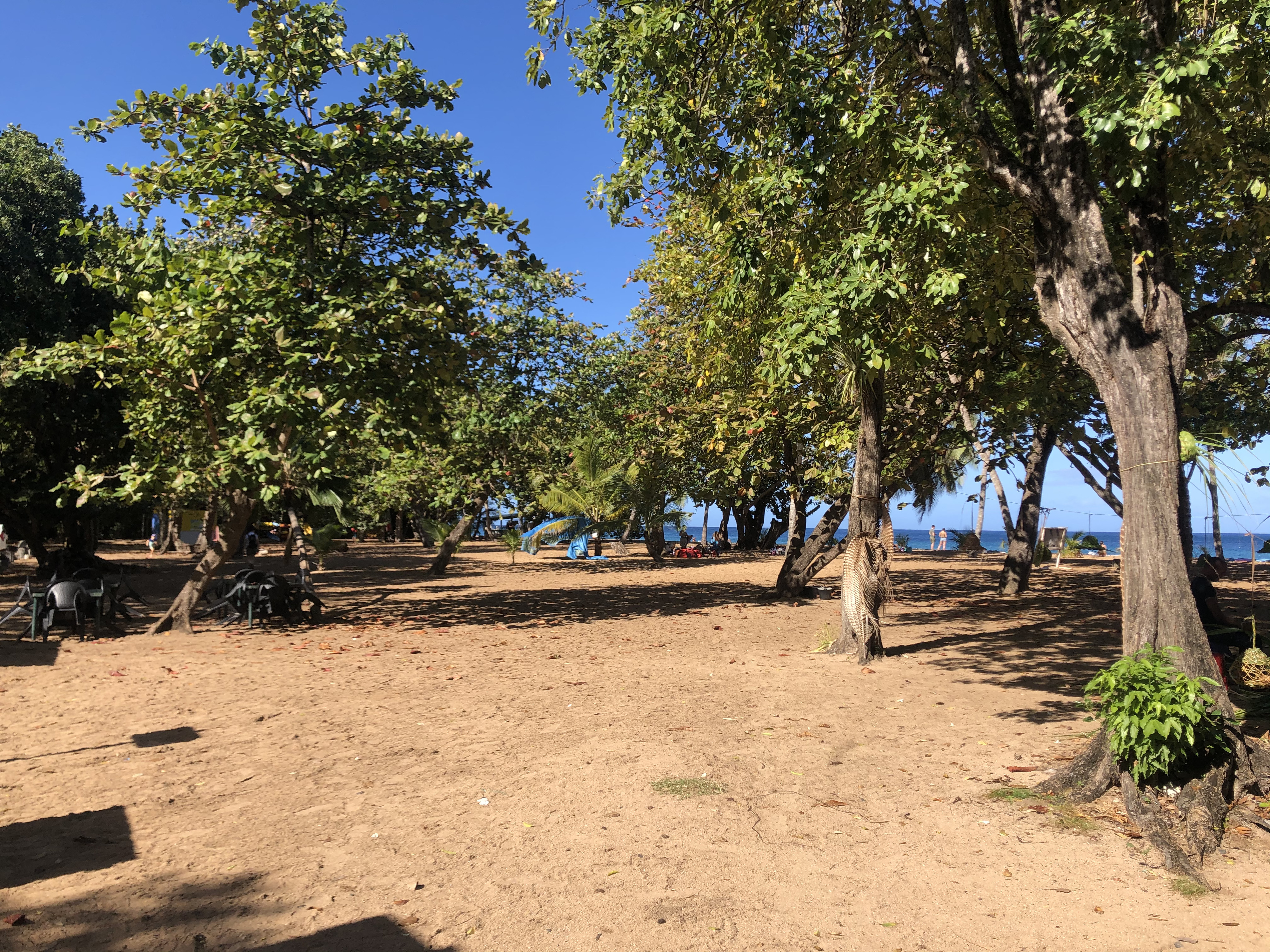 Picture Guadeloupe Grande Hanse Beach 2021-02 13 - Tour Grande Hanse Beach