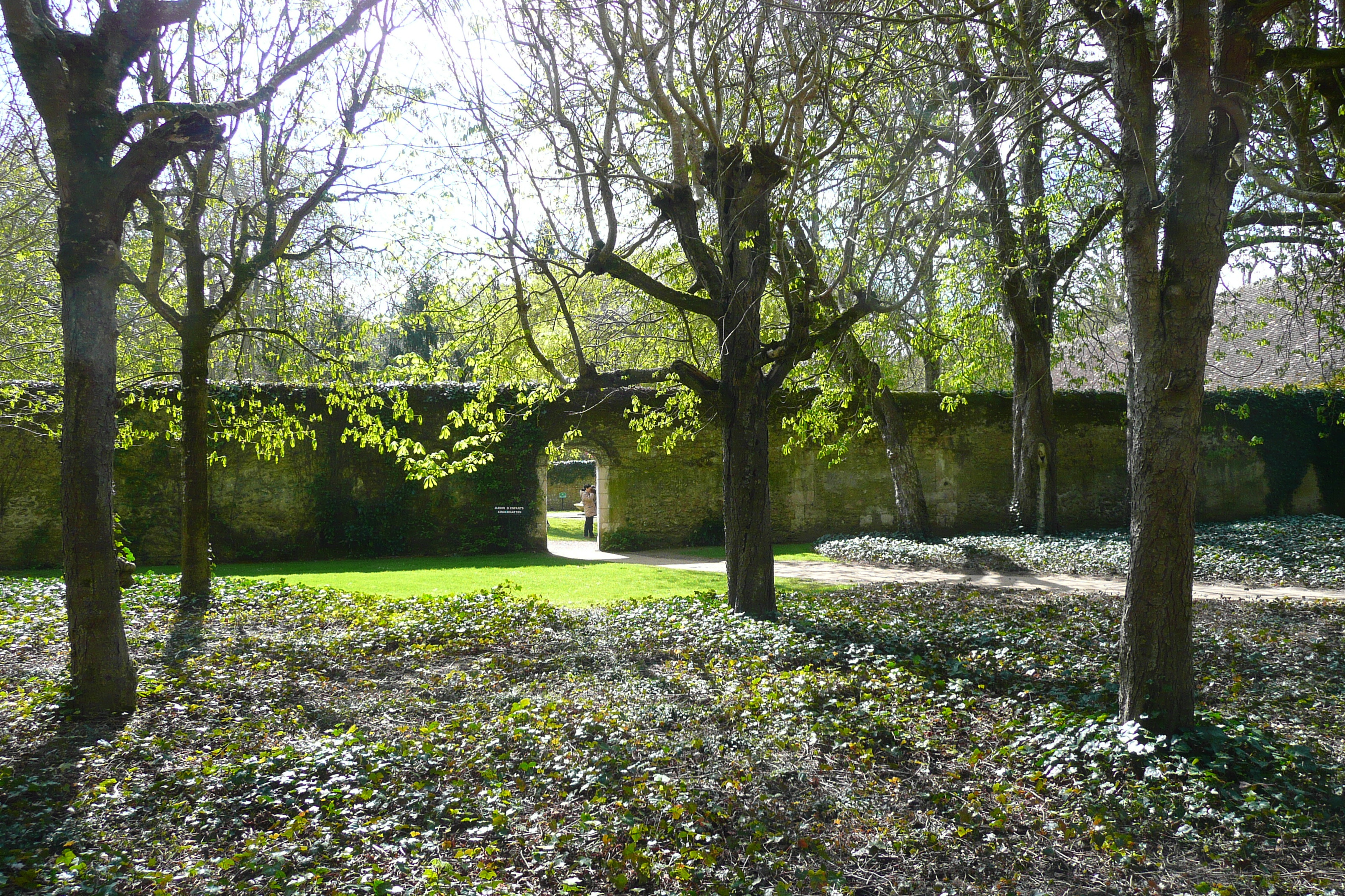 Picture France Chenonceau Castle Gardens of Chenonceau 2008-04 27 - Center Gardens of Chenonceau