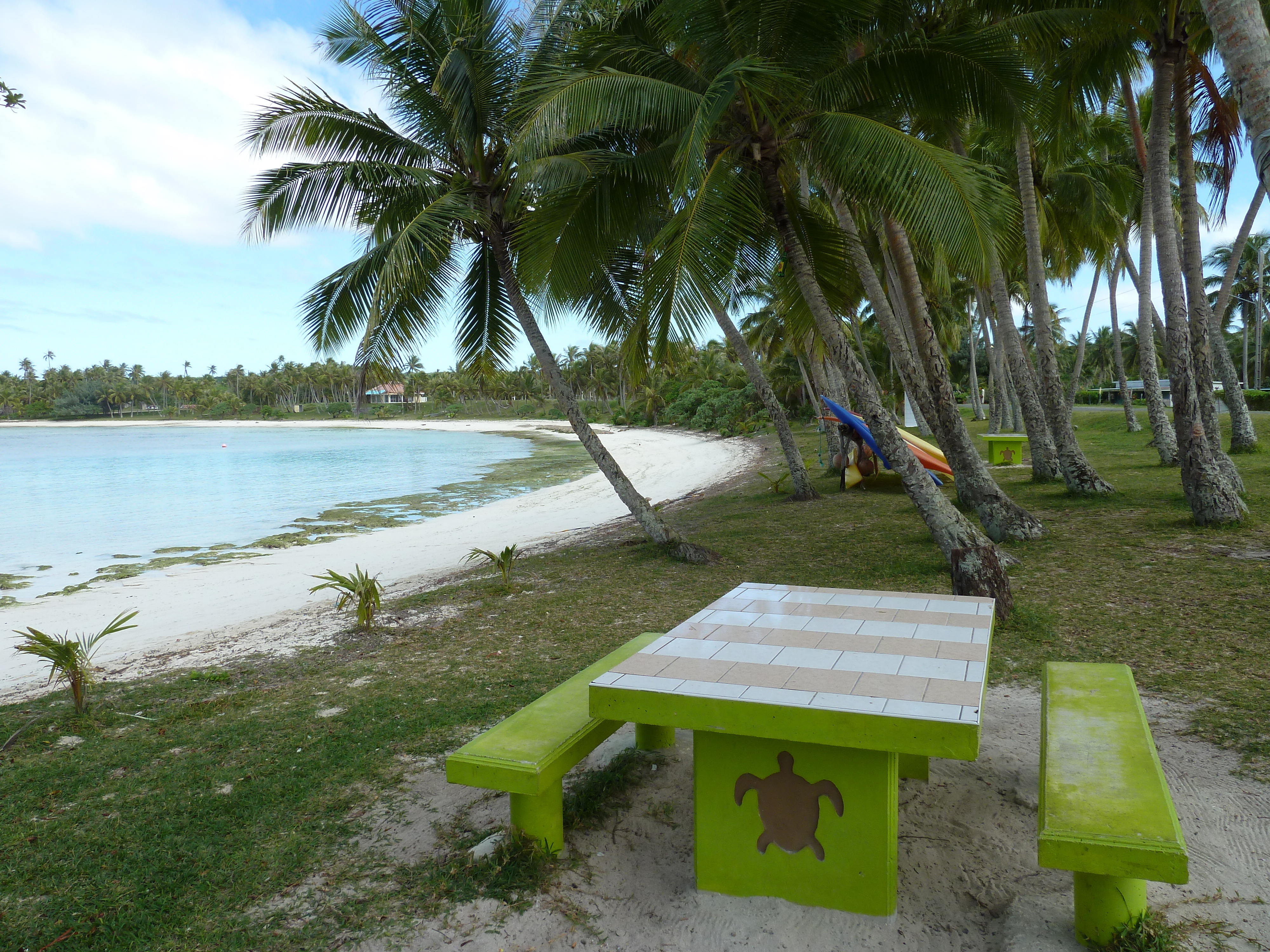 Picture New Caledonia Lifou Baie des tortues 2010-05 37 - Tour Baie des tortues