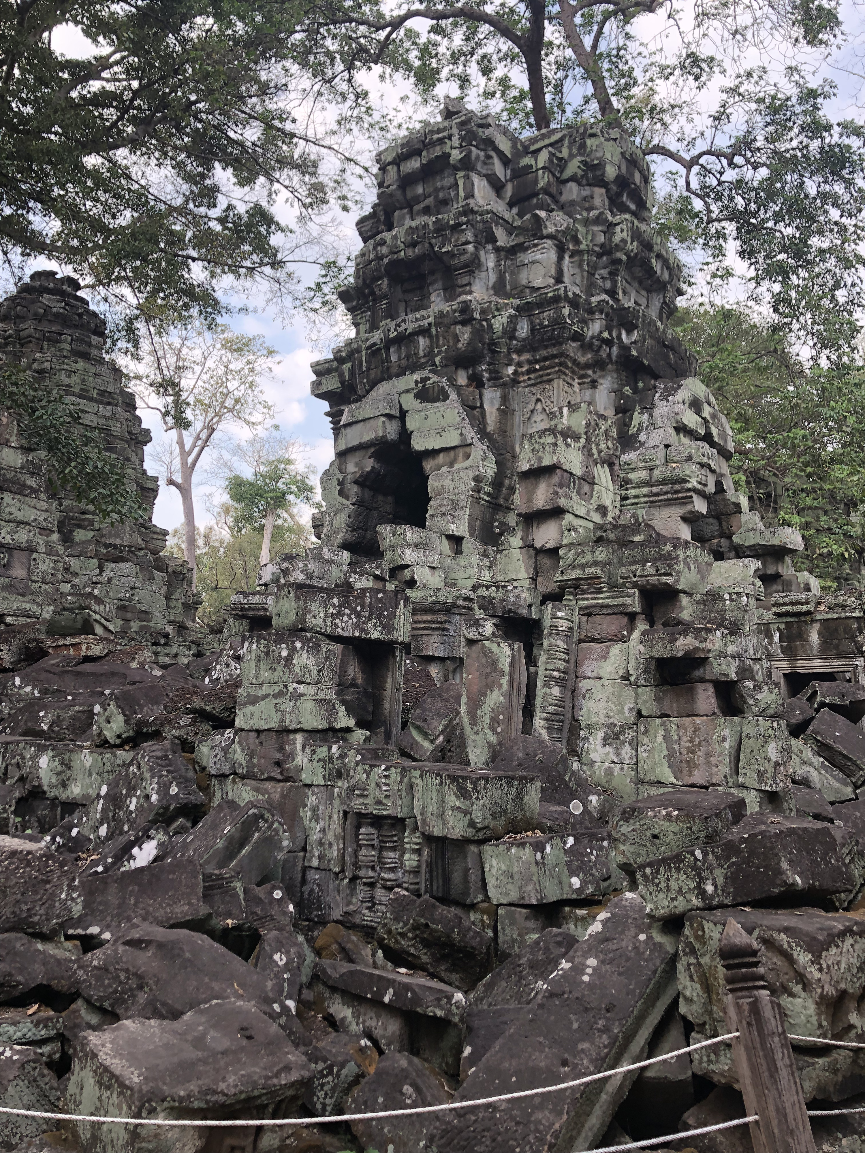 Picture Cambodia Siem Reap Ta Prohm 2023-01 106 - Recreation Ta Prohm