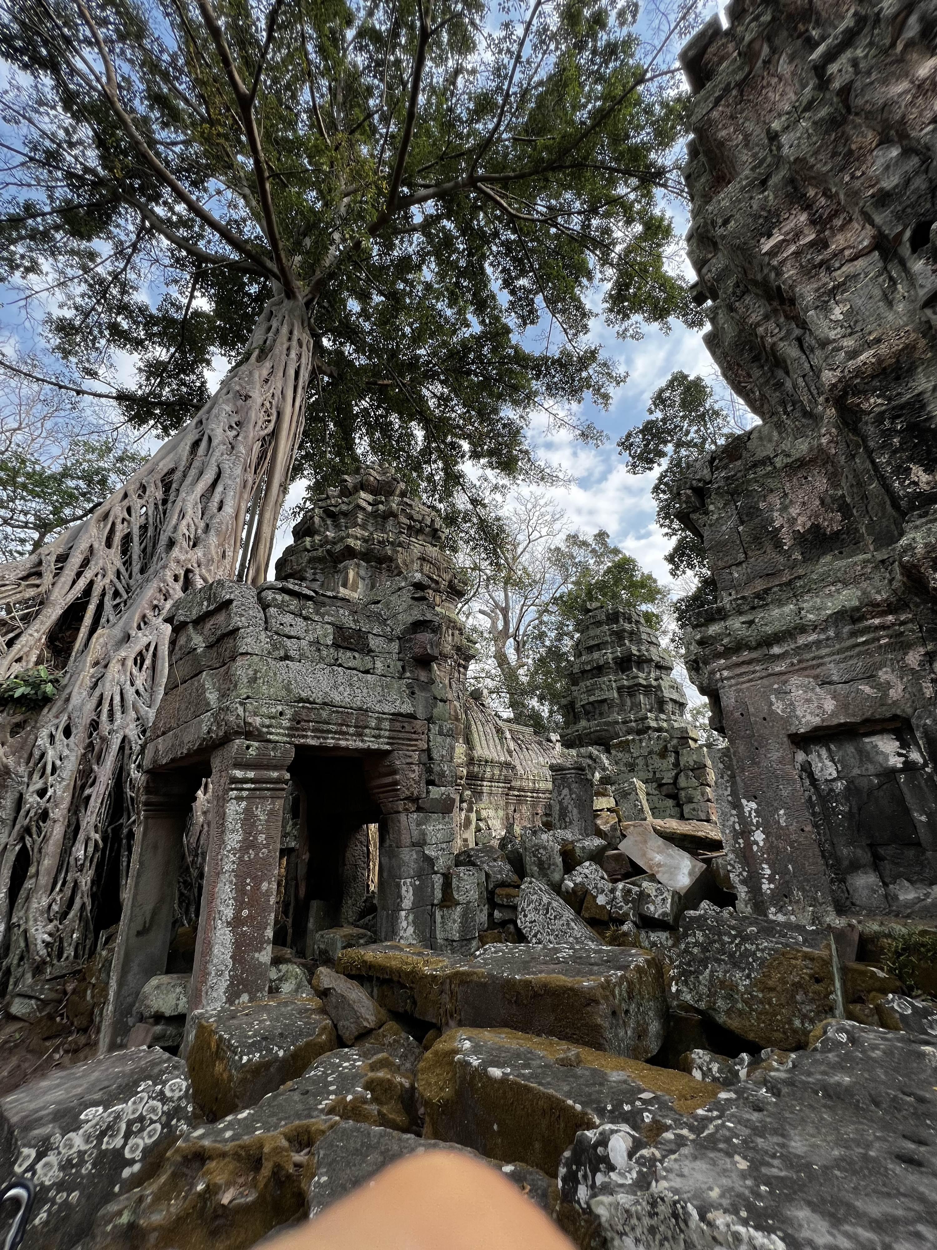 Picture Cambodia Siem Reap Ta Prohm 2023-01 114 - Discovery Ta Prohm