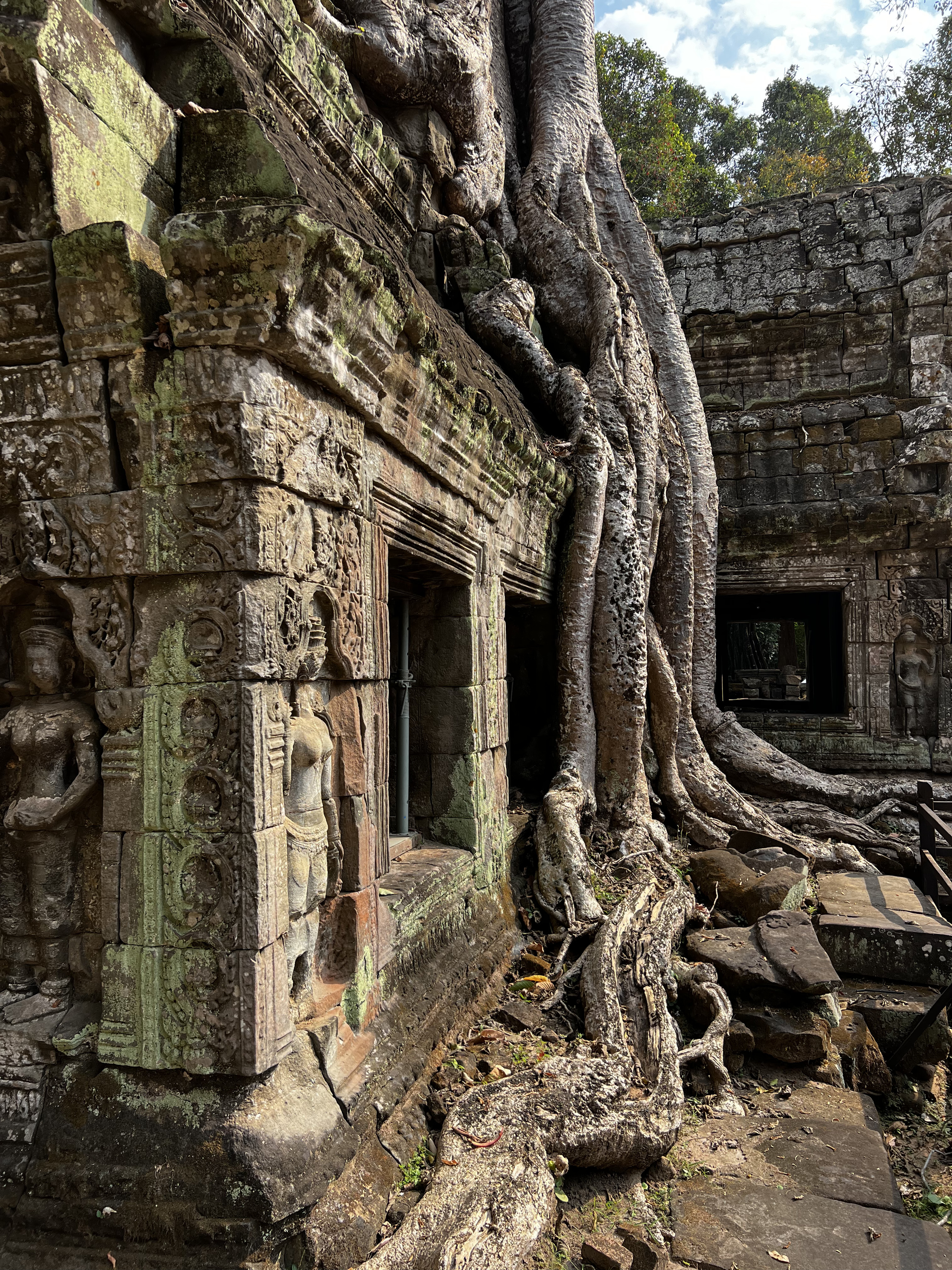 Picture Cambodia Siem Reap Ta Prohm 2023-01 142 - Tours Ta Prohm