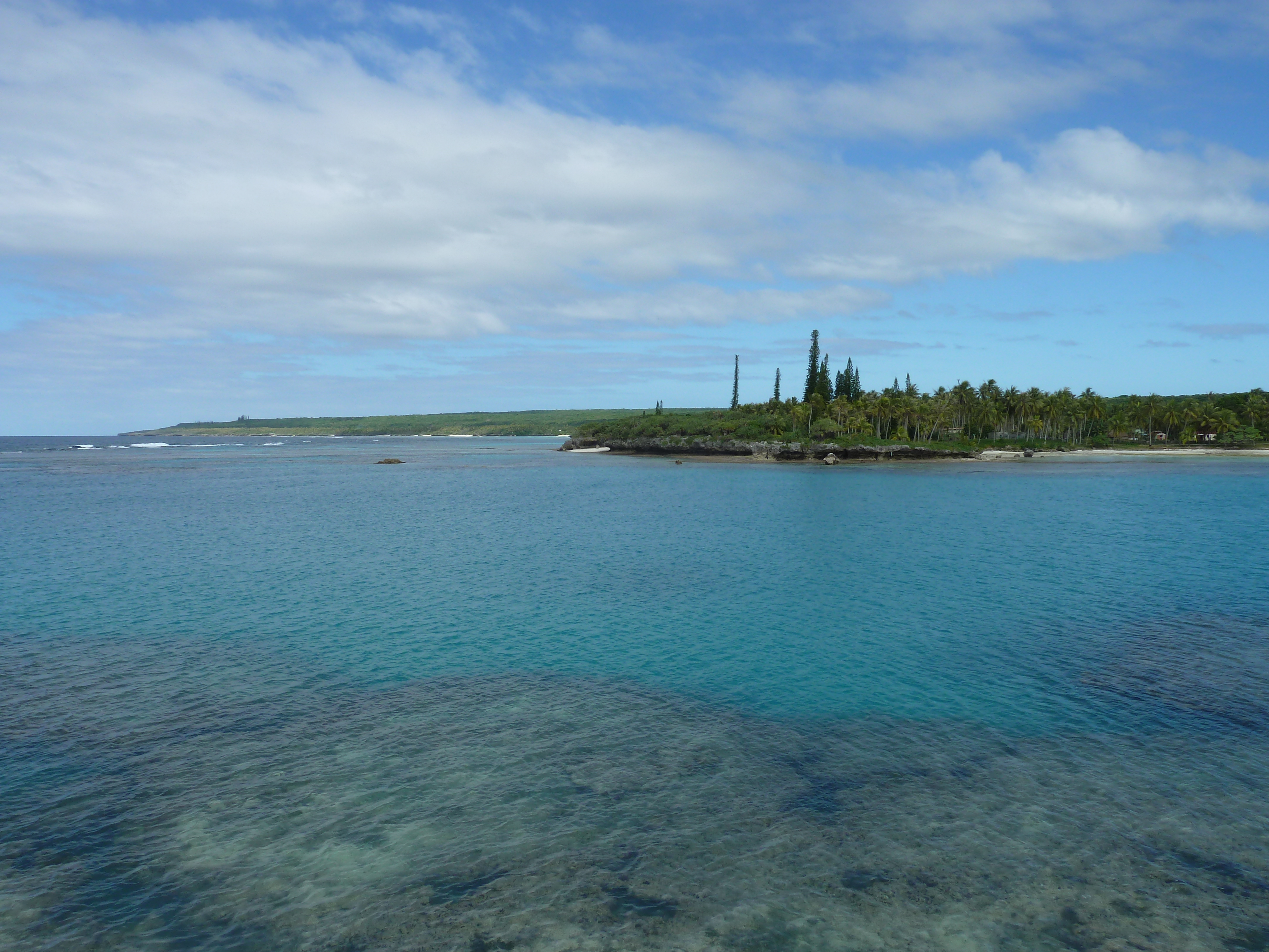 Picture New Caledonia Lifou Baie des tortues 2010-05 21 - Discovery Baie des tortues