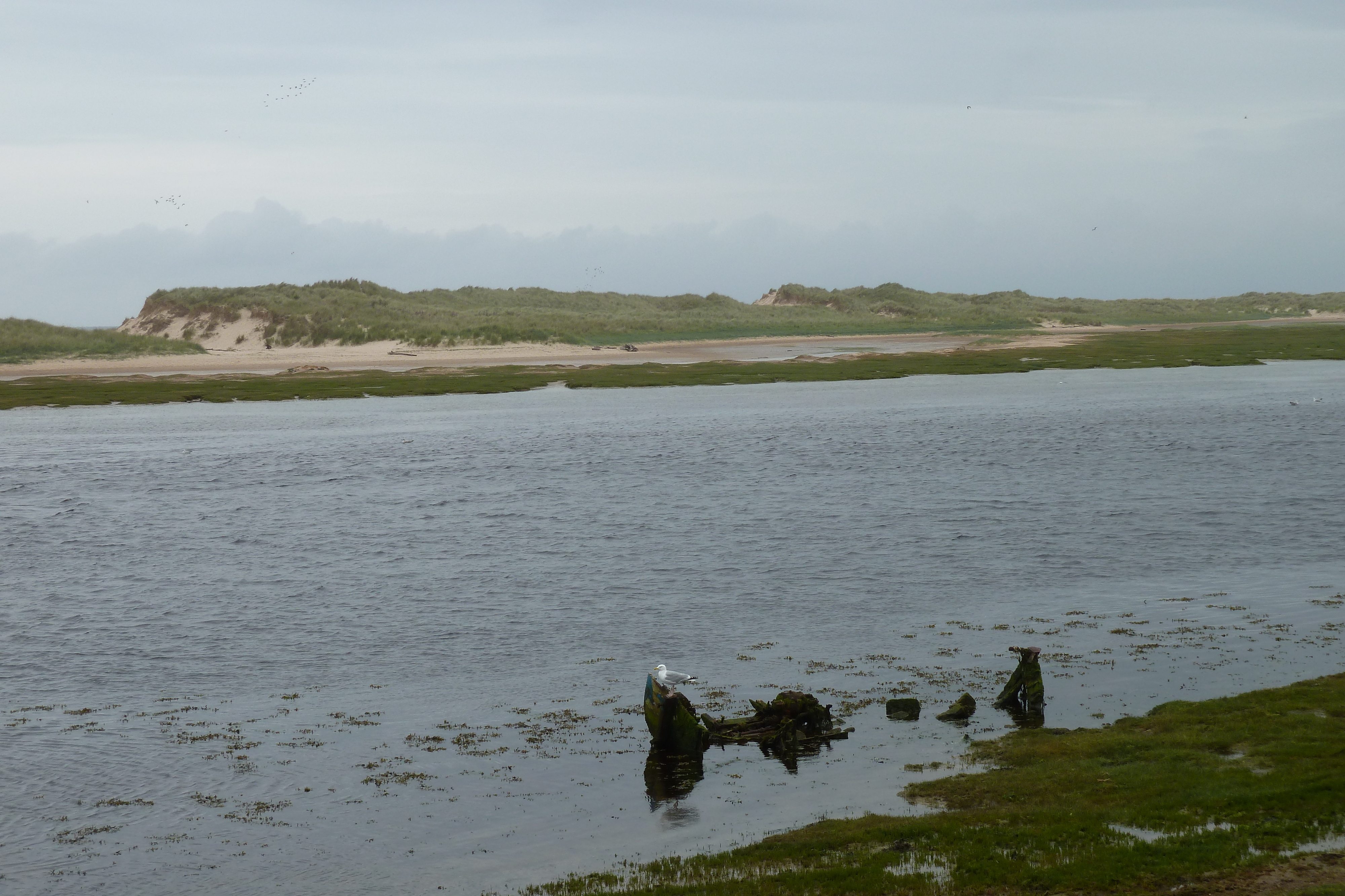 Picture United Kingdom Scotland Lossiemouth 2011-07 6 - Center Lossiemouth