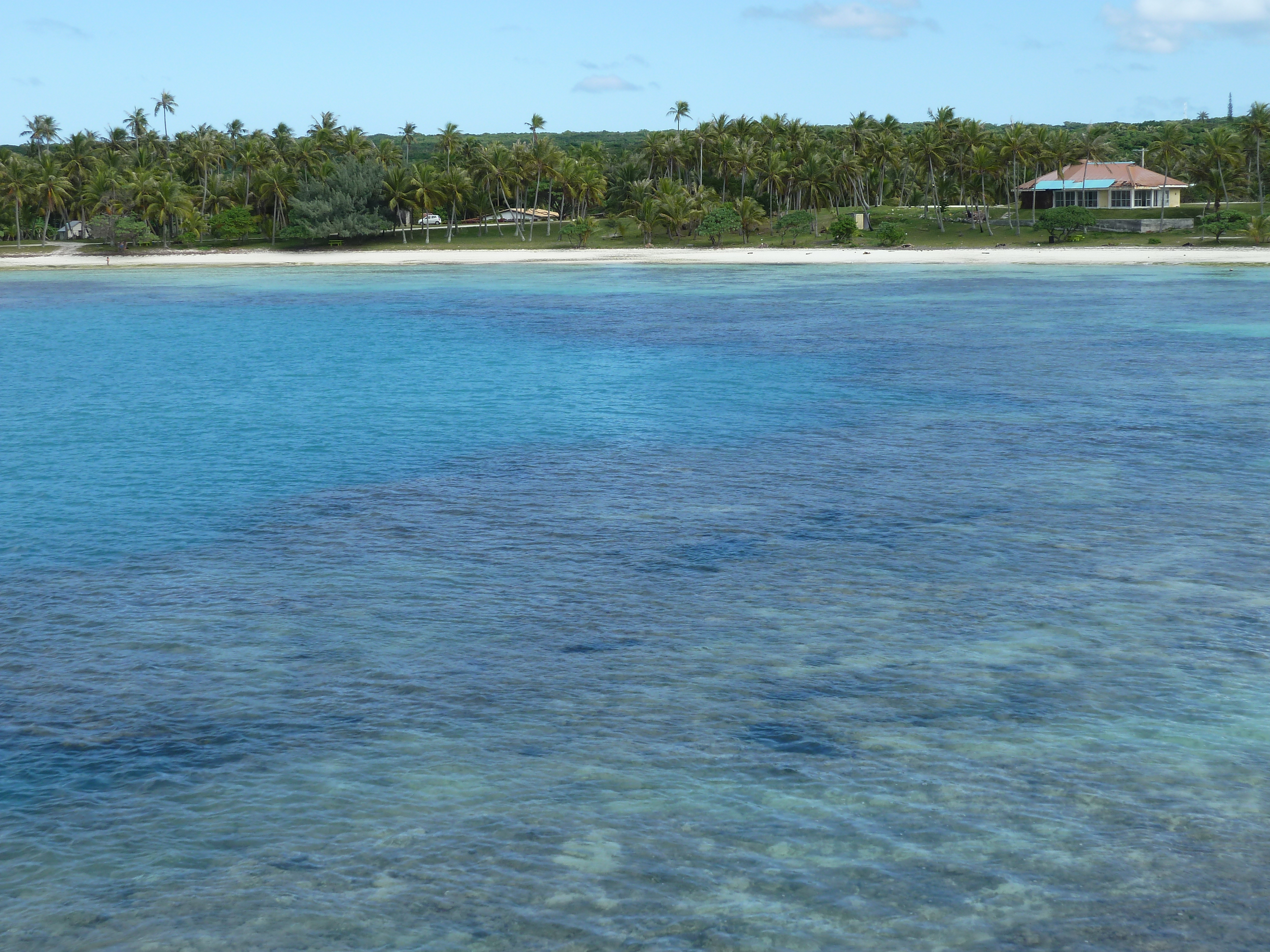 Picture New Caledonia Lifou Baie des tortues 2010-05 23 - Around Baie des tortues