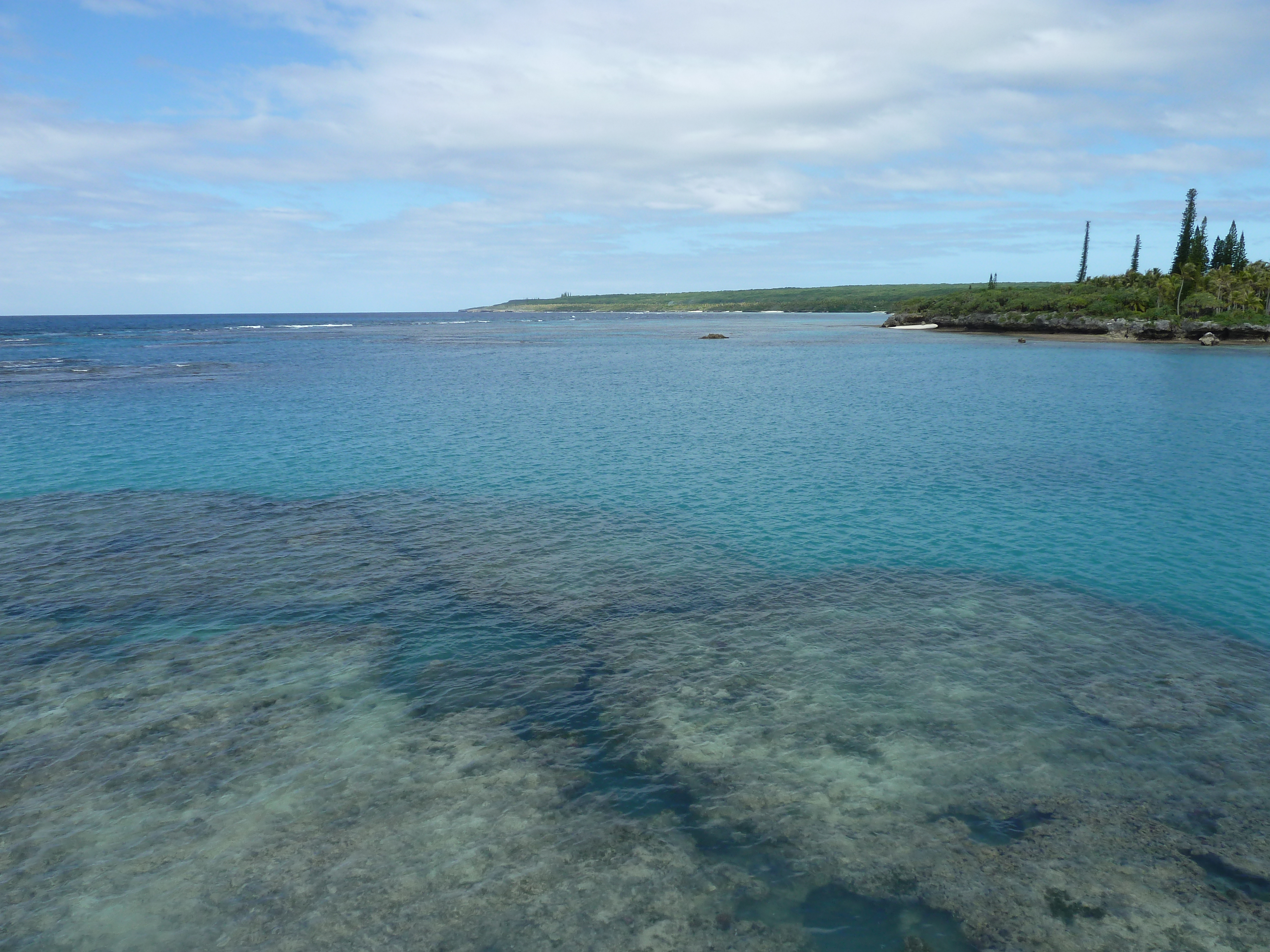 Picture New Caledonia 2010-05 67 - Discovery New Caledonia