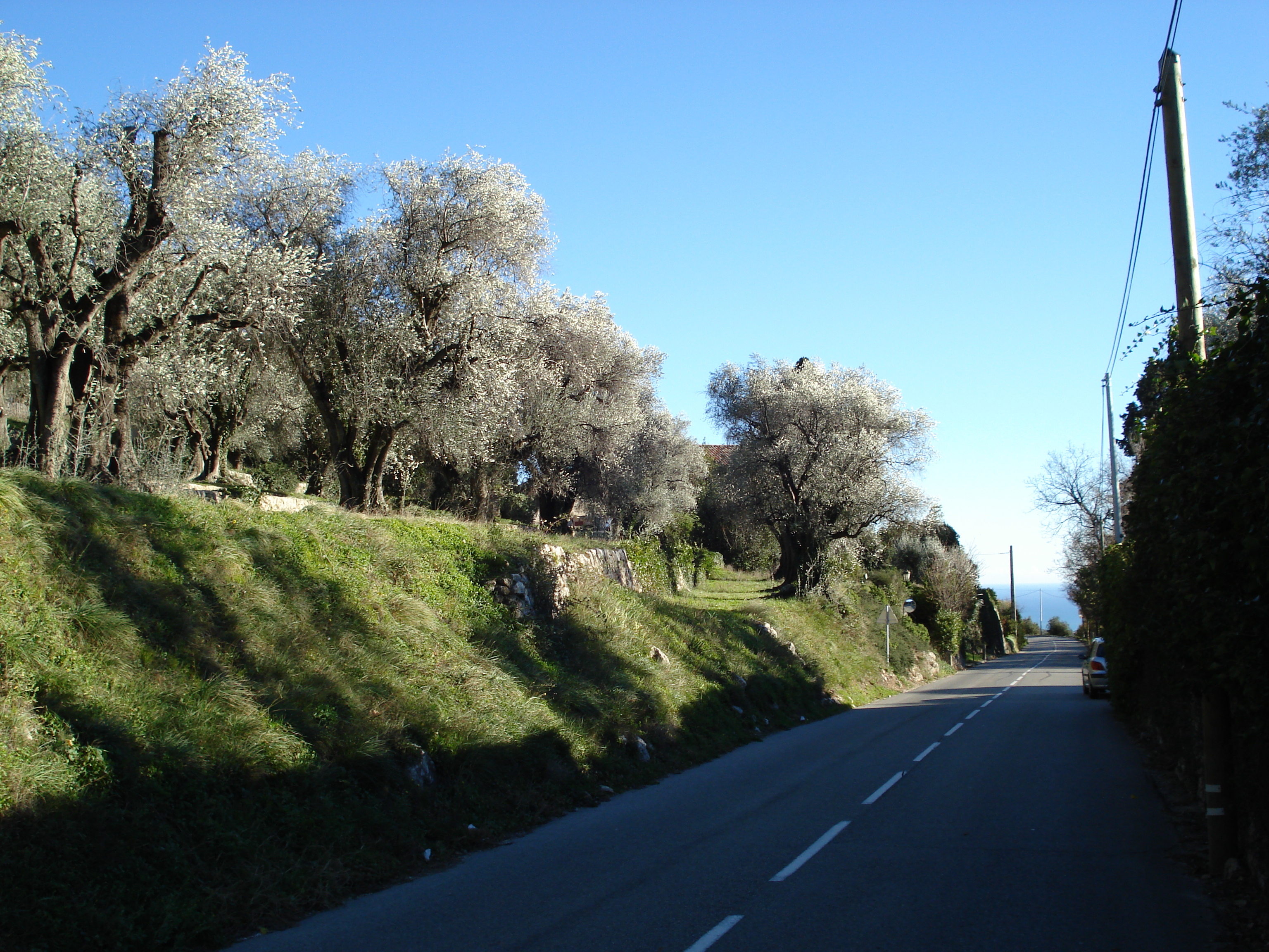 Picture France French Riviera Col de Vence road 2007-01 5 - Discovery Col de Vence road