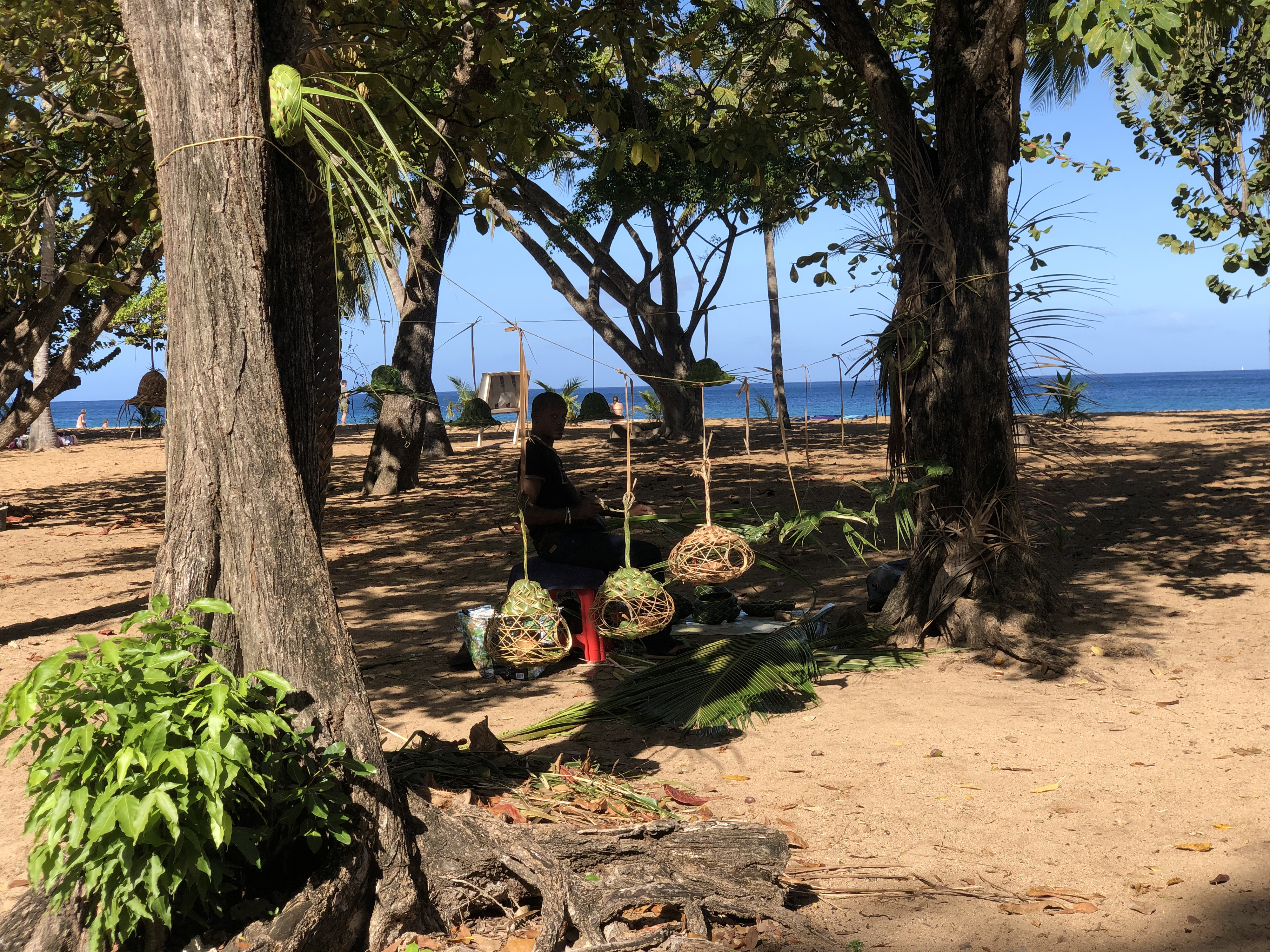 Picture Guadeloupe Grande Hanse Beach 2021-02 15 - Discovery Grande Hanse Beach