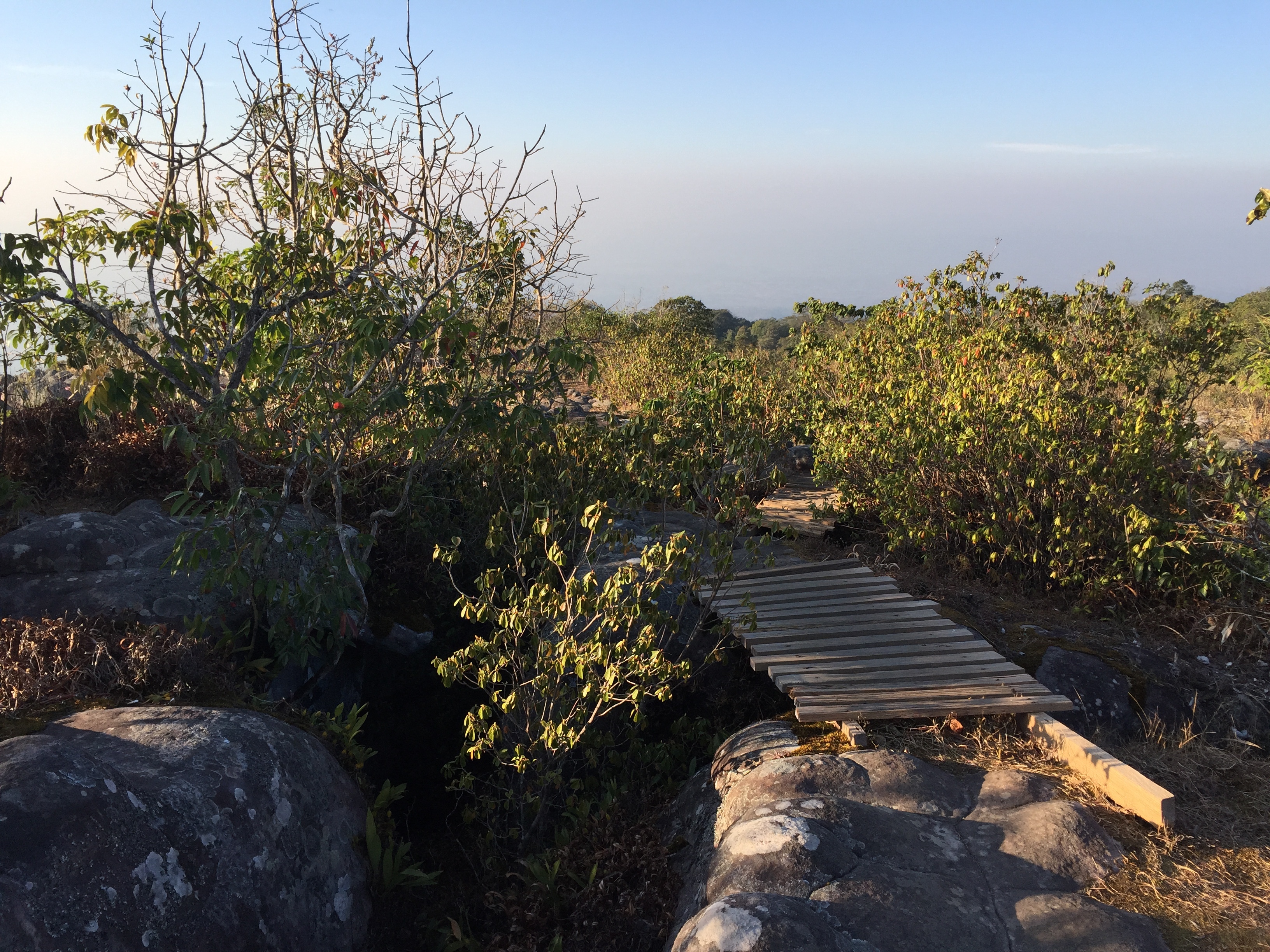 Picture Thailand Phu Hin Rong Kla National Park 2014-12 83 - Tour Phu Hin Rong Kla National Park