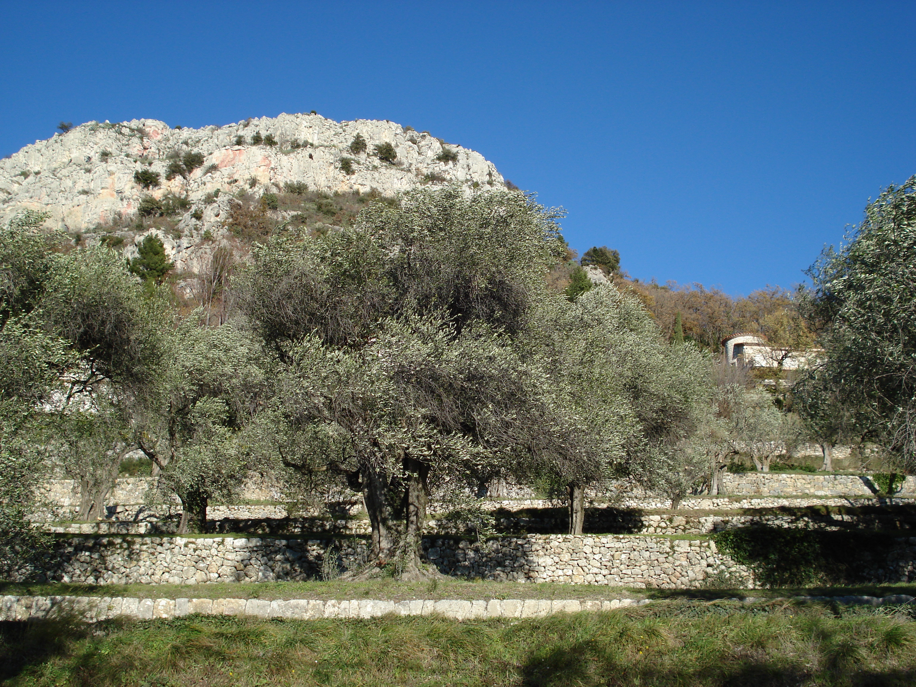 Picture France French Riviera Col de Vence road 2007-01 61 - Around Col de Vence road