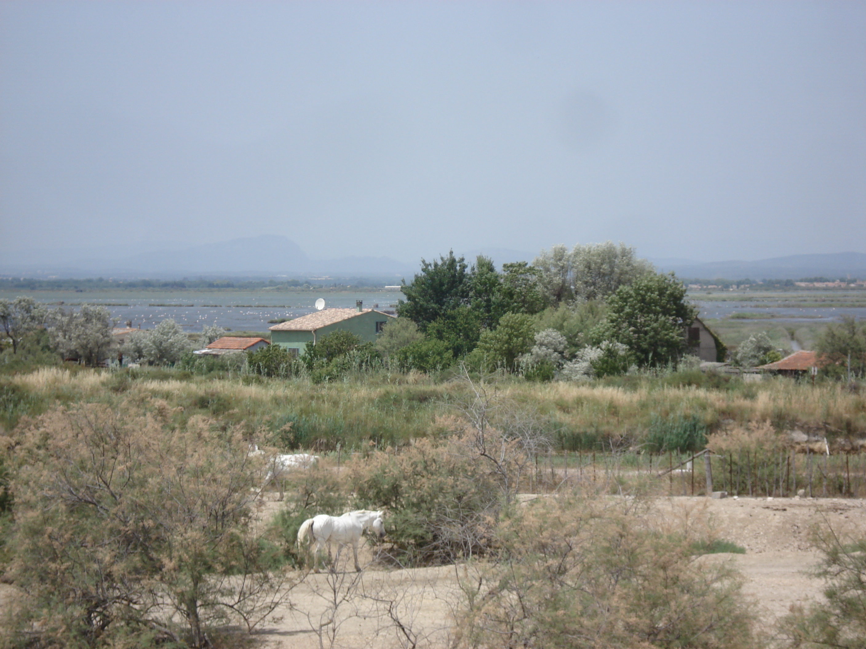 Picture France Camargue 2006-06 6 - Recreation Camargue