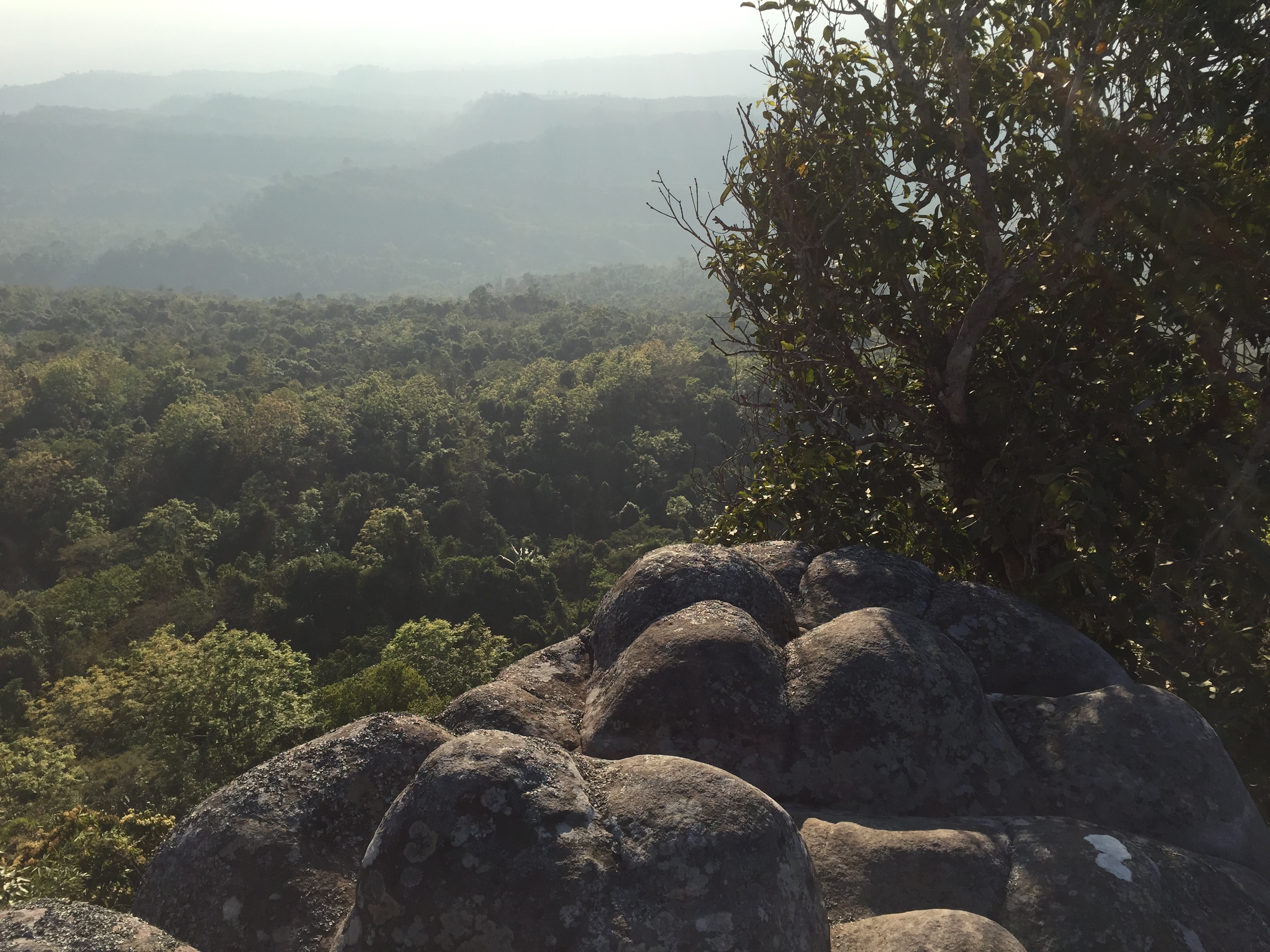 Picture Thailand Phu Hin Rong Kla National Park 2014-12 109 - Around Phu Hin Rong Kla National Park