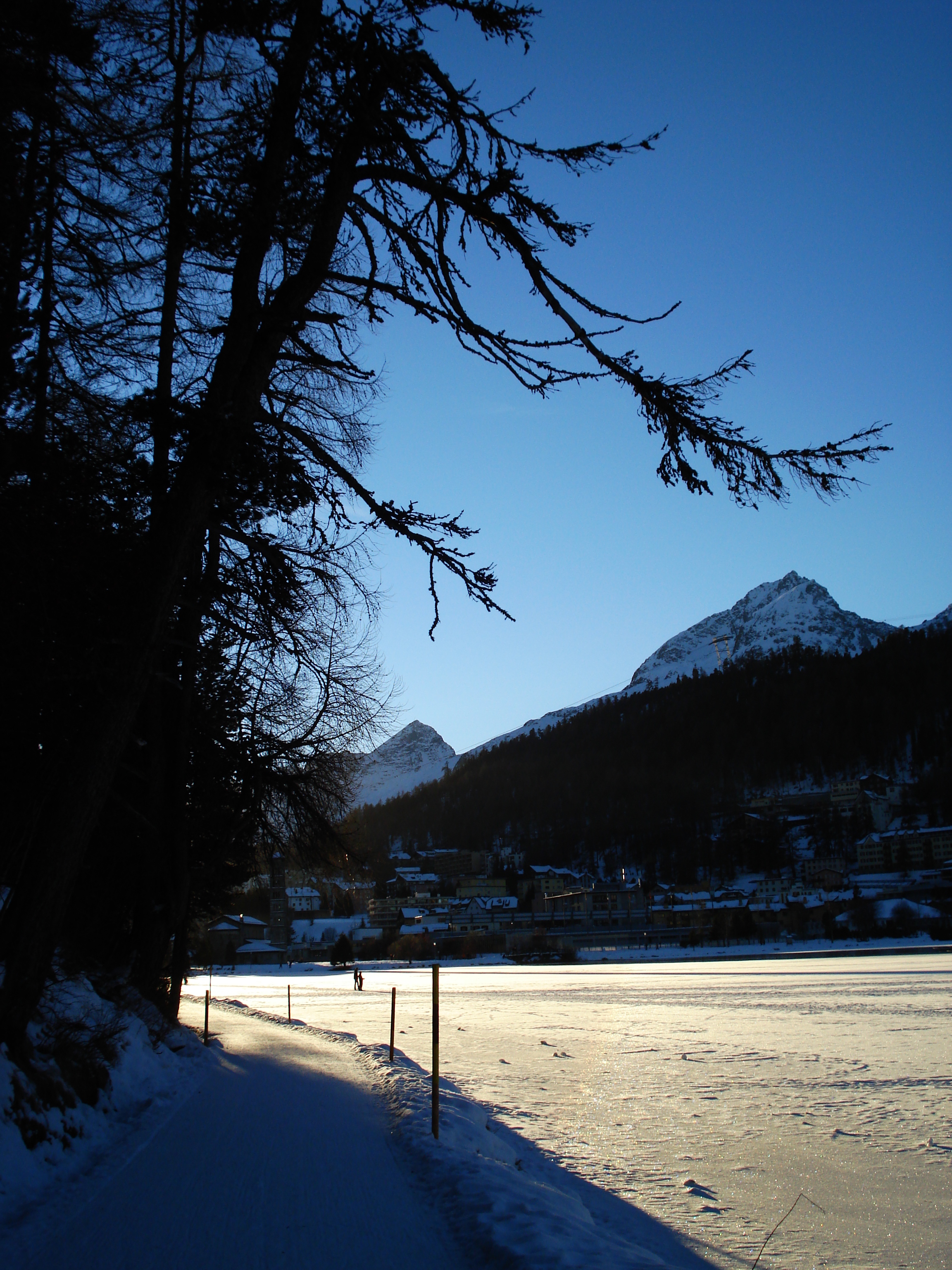 Picture Swiss St Moritz 2007-01 22 - Discovery St Moritz