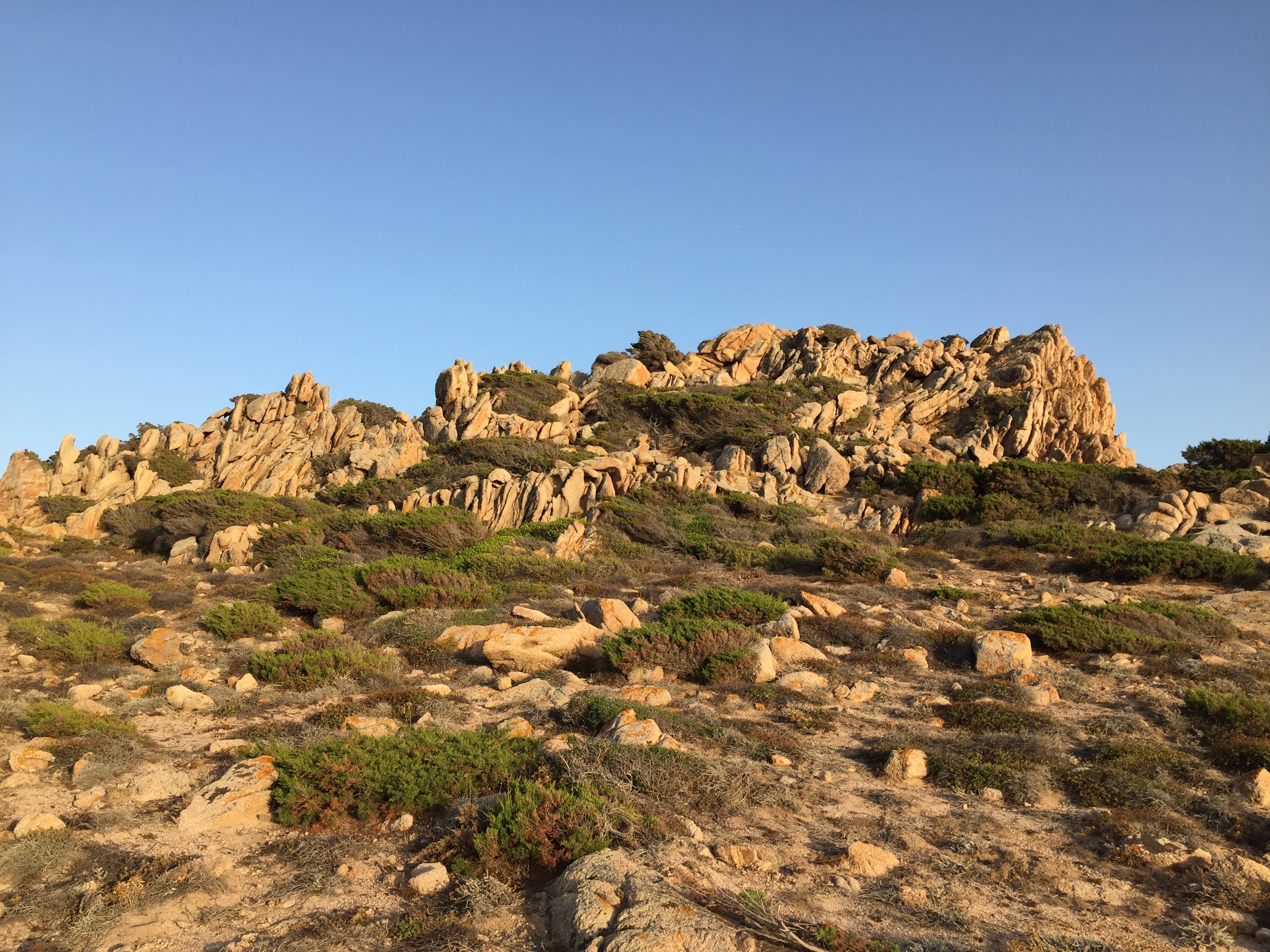 Picture France Corsica Tonnara Beach 2017-07 42 - Recreation Tonnara Beach