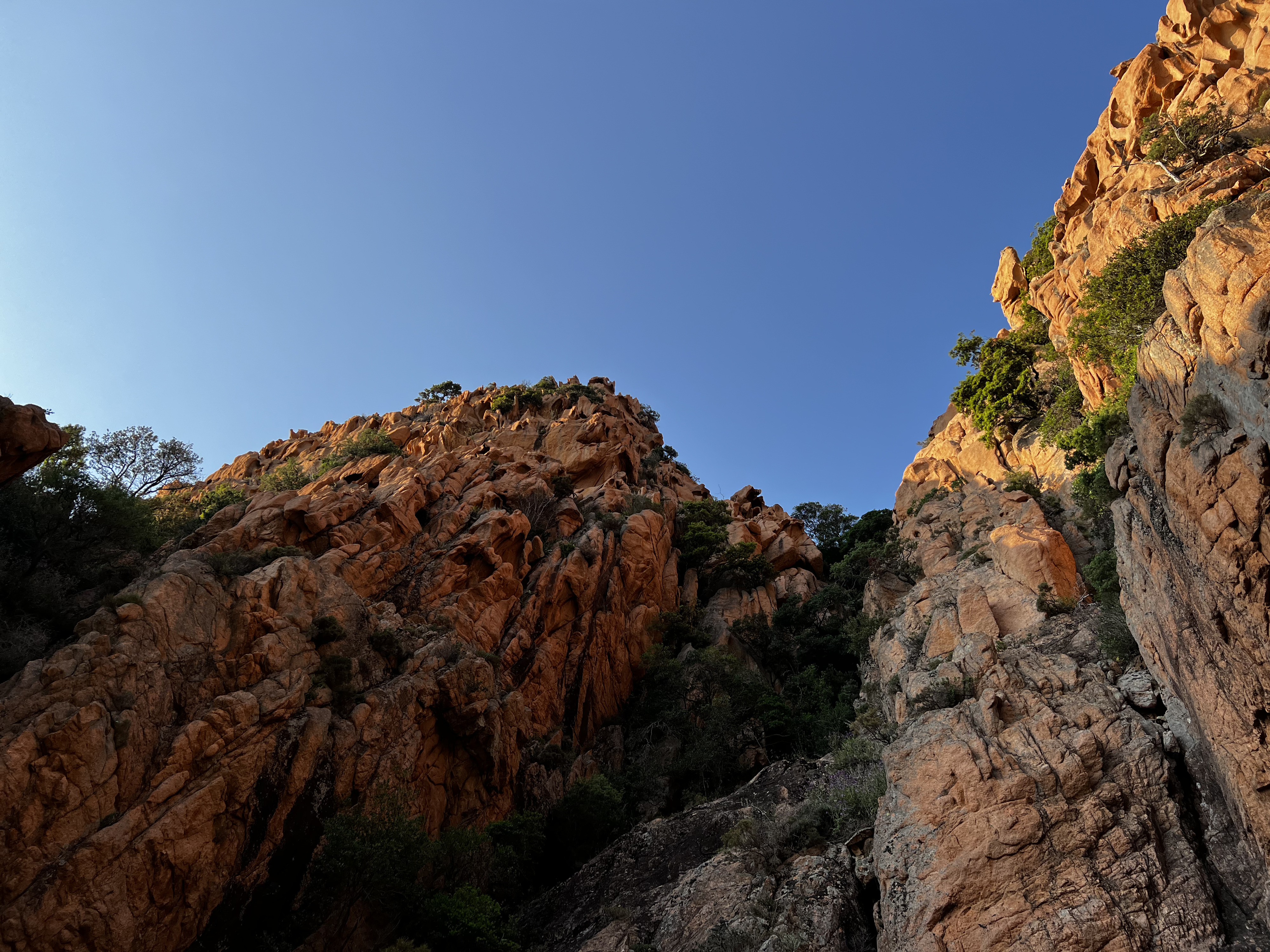 Picture France Corsica Calanques de Piana 2023-06 20 - Around Calanques de Piana