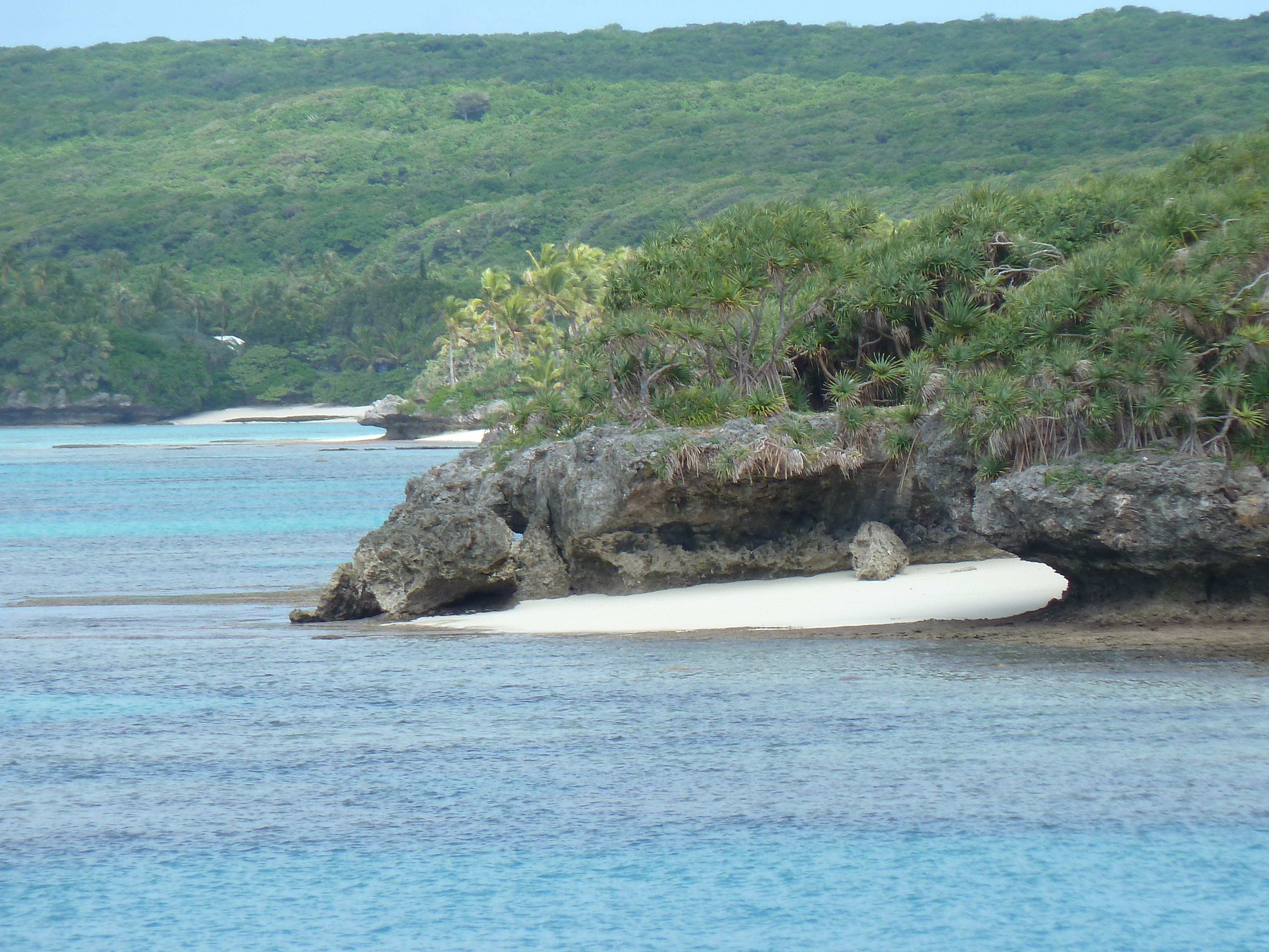 Picture New Caledonia Lifou Baie des tortues 2010-05 7 - Tours Baie des tortues