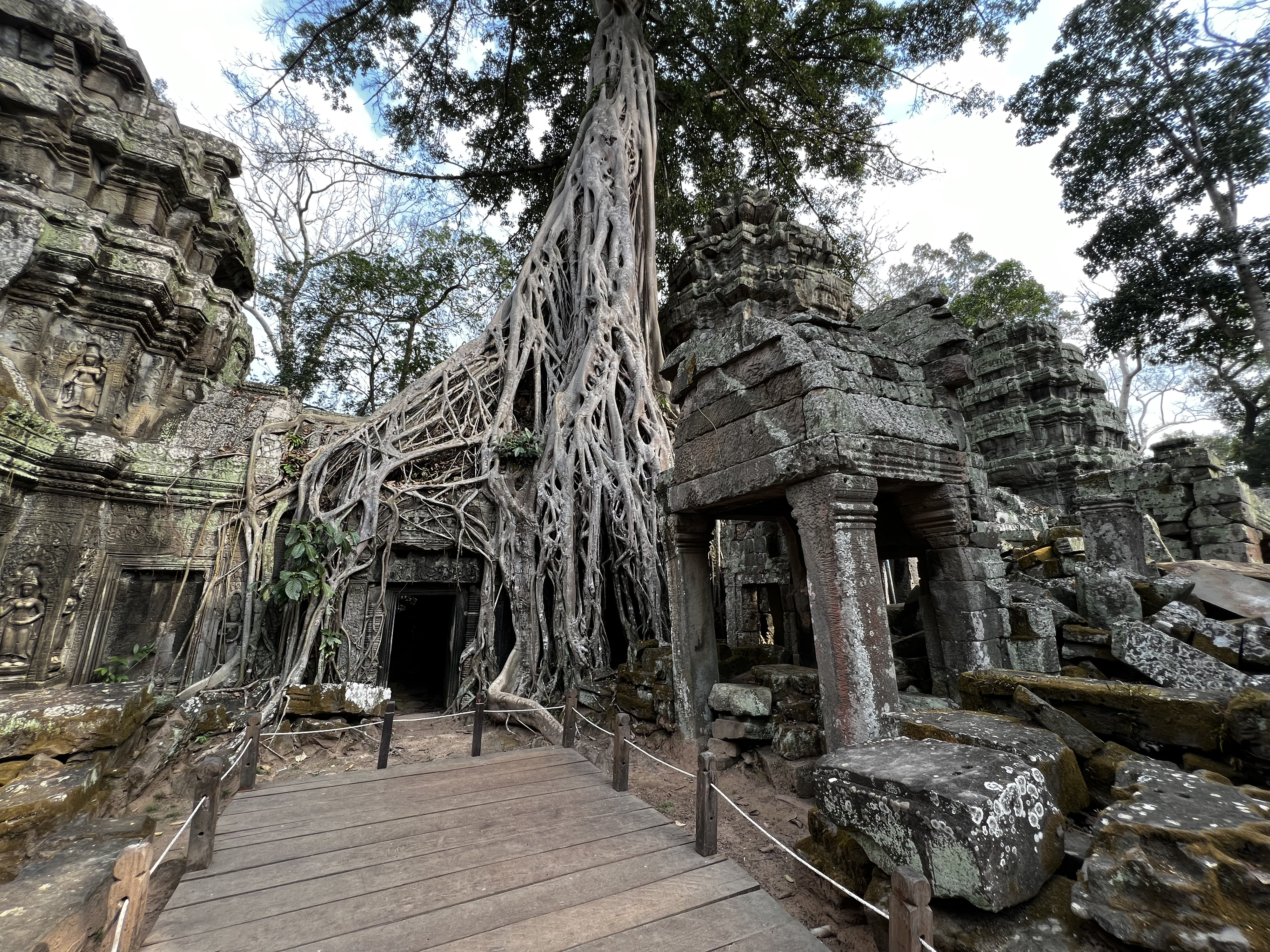 Picture Cambodia Siem Reap Ta Prohm 2023-01 155 - Center Ta Prohm