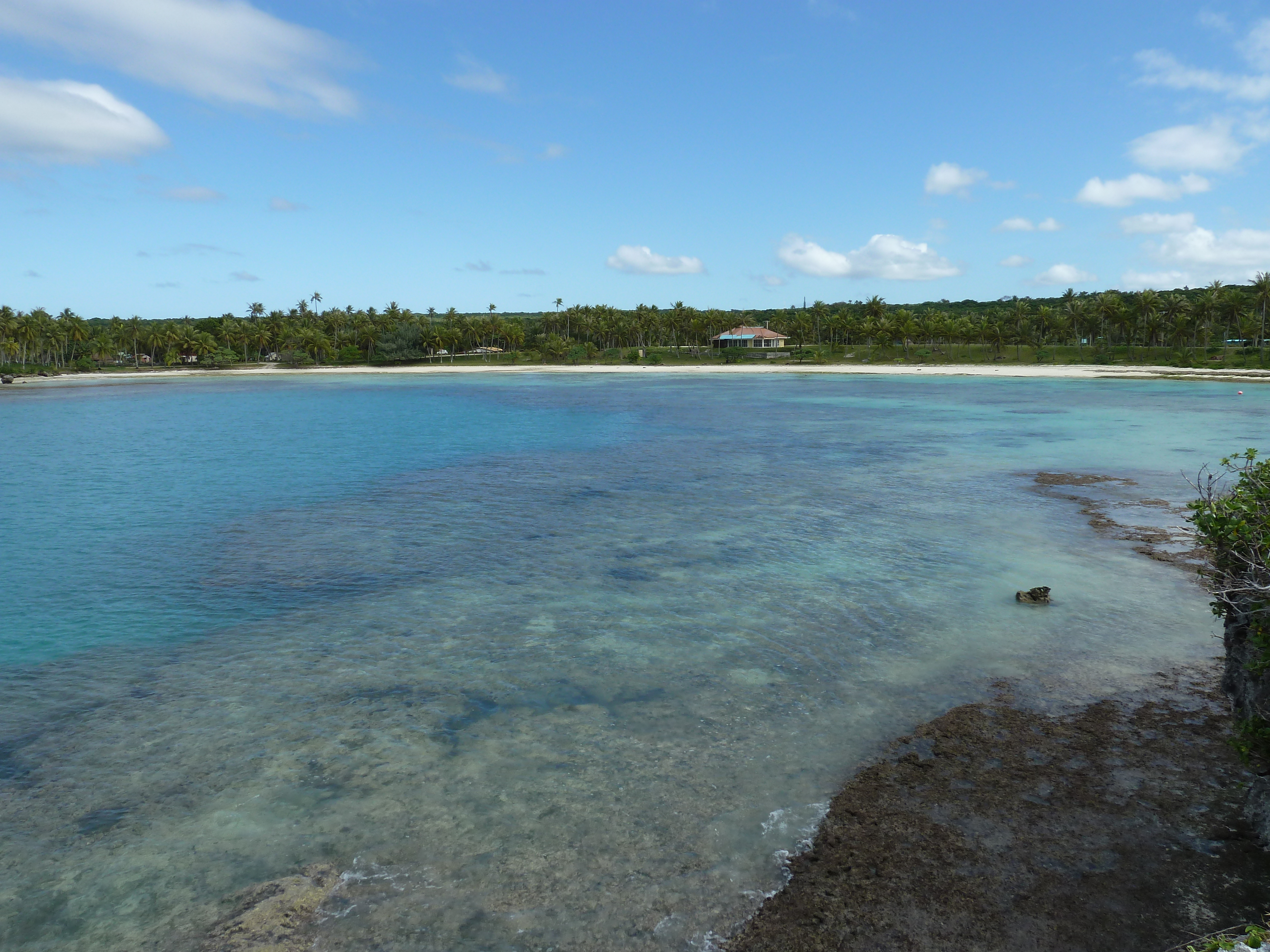 Picture New Caledonia Lifou Baie des tortues 2010-05 4 - Tour Baie des tortues