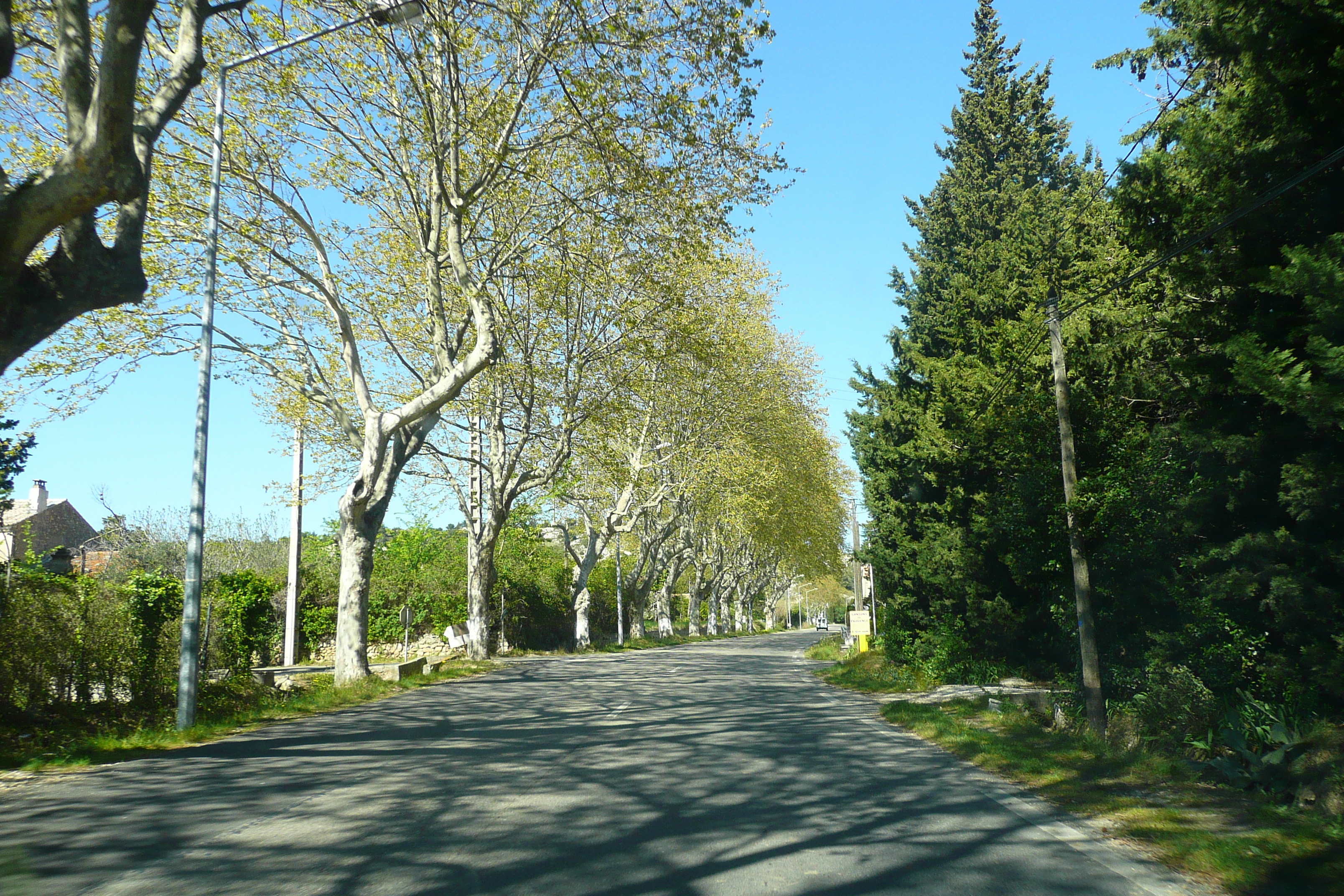 Picture France Provence Mouries to Baux de Provence road 2008-04 21 - Tours Mouries to Baux de Provence road