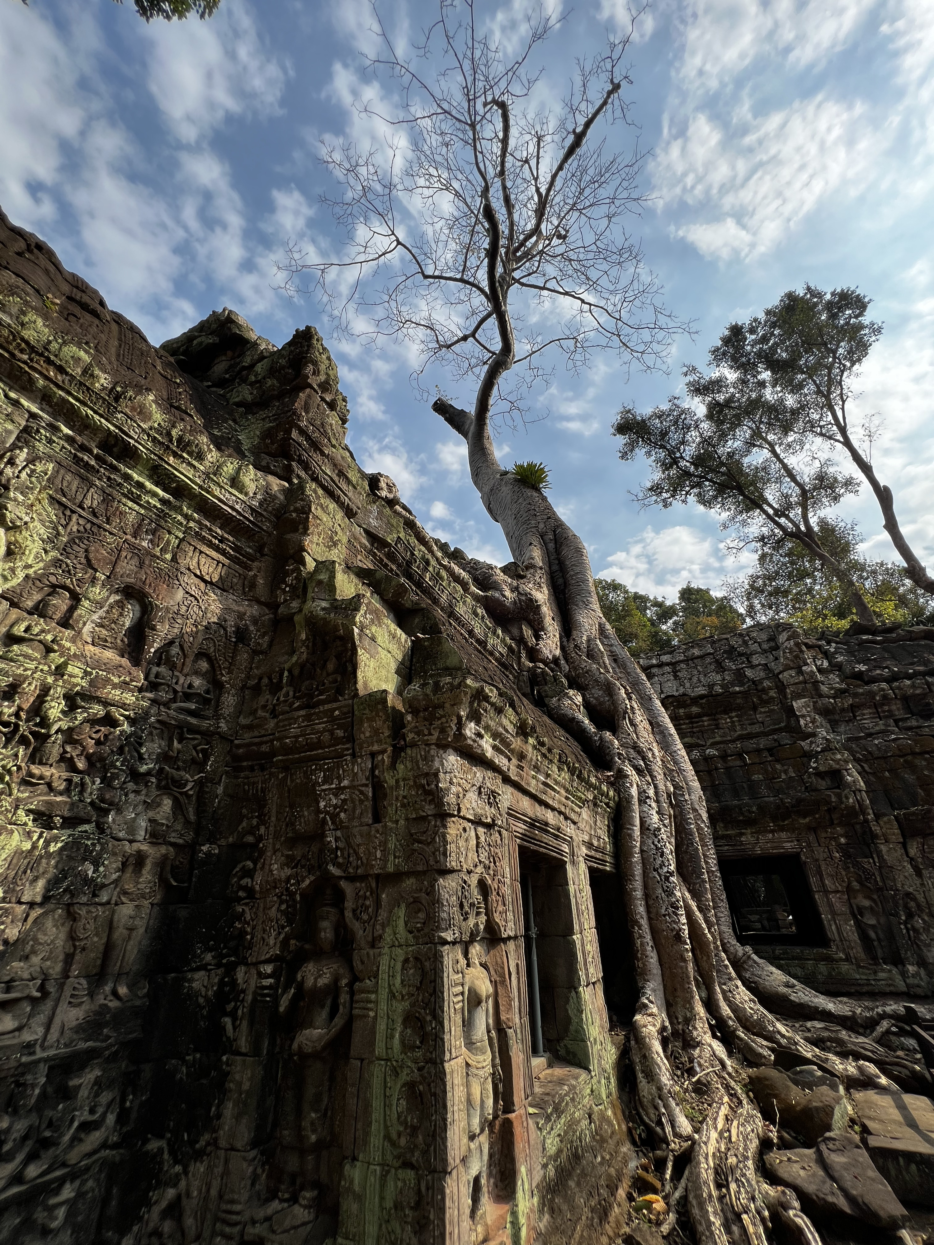 Picture Cambodia Siem Reap Ta Prohm 2023-01 18 - Discovery Ta Prohm