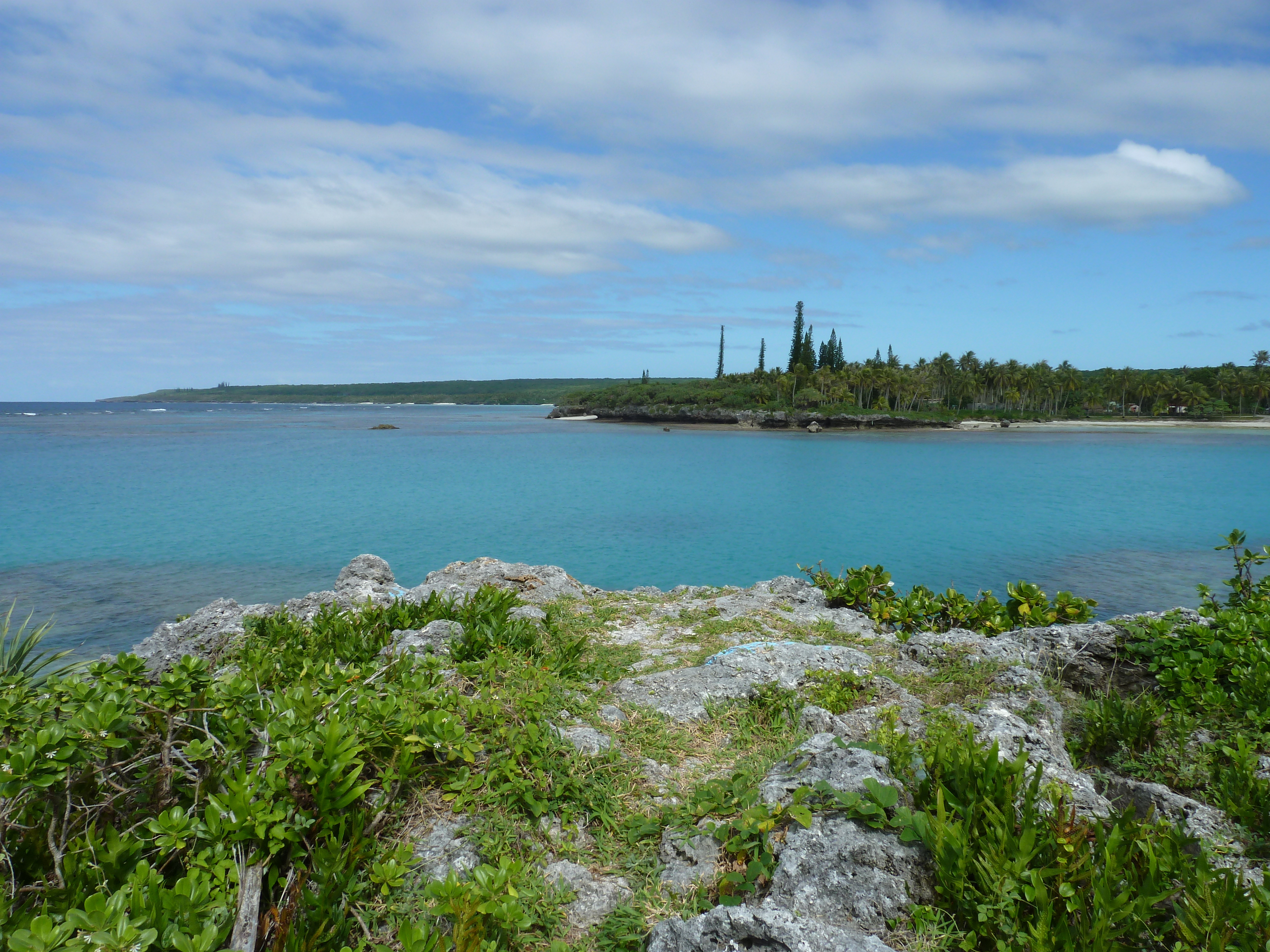 Picture New Caledonia Lifou Baie des tortues 2010-05 14 - Recreation Baie des tortues