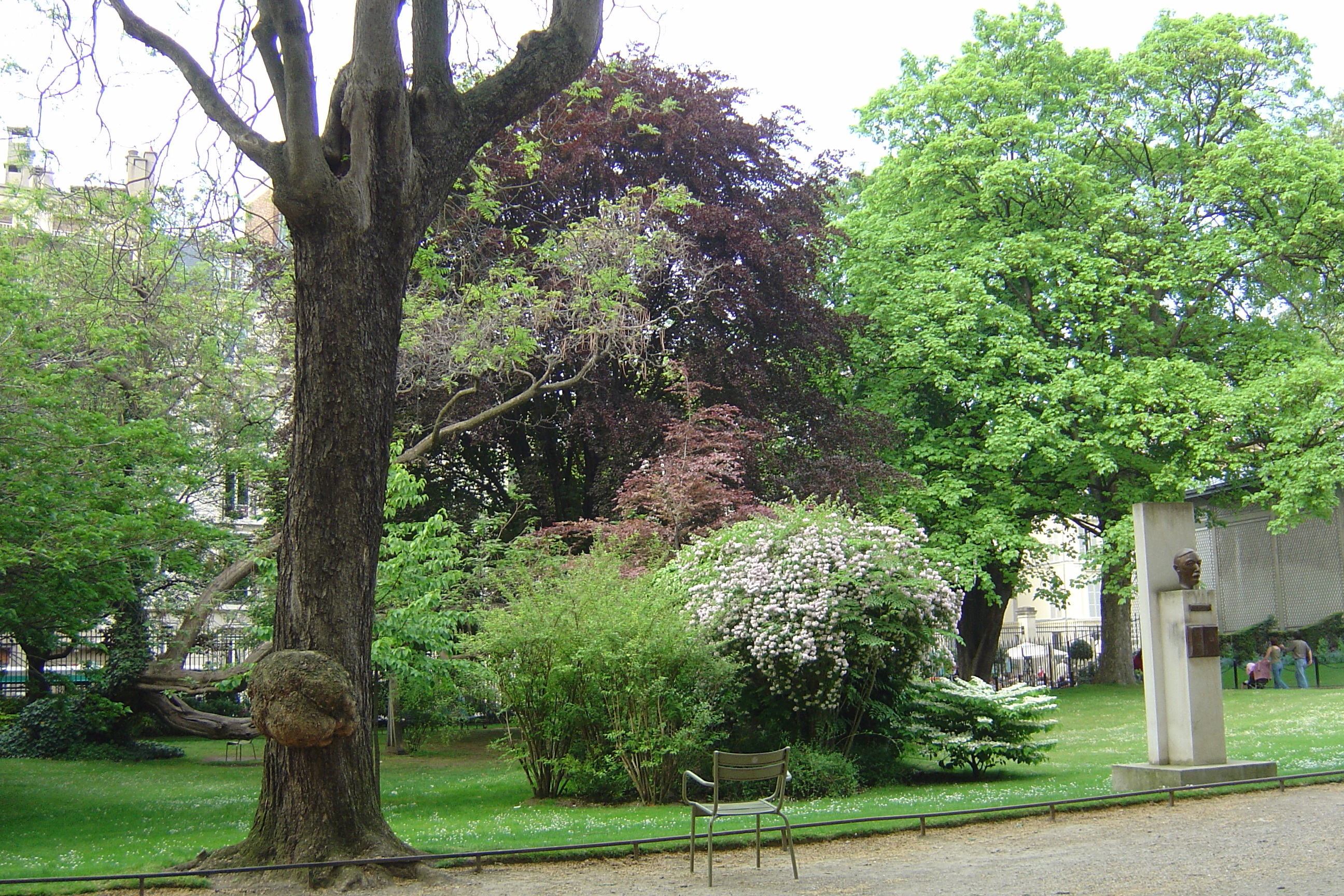 Picture France Paris Luxembourg Garden 2007-04 57 - Center Luxembourg Garden