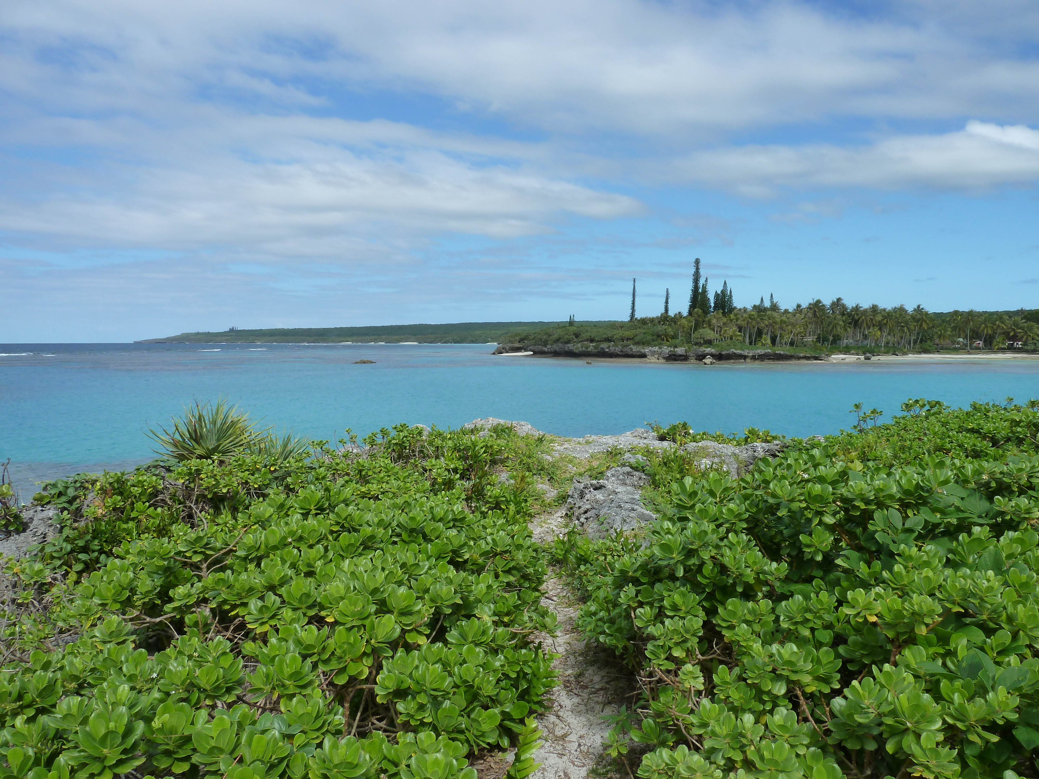 Picture New Caledonia Lifou Baie des tortues 2010-05 11 - Center Baie des tortues