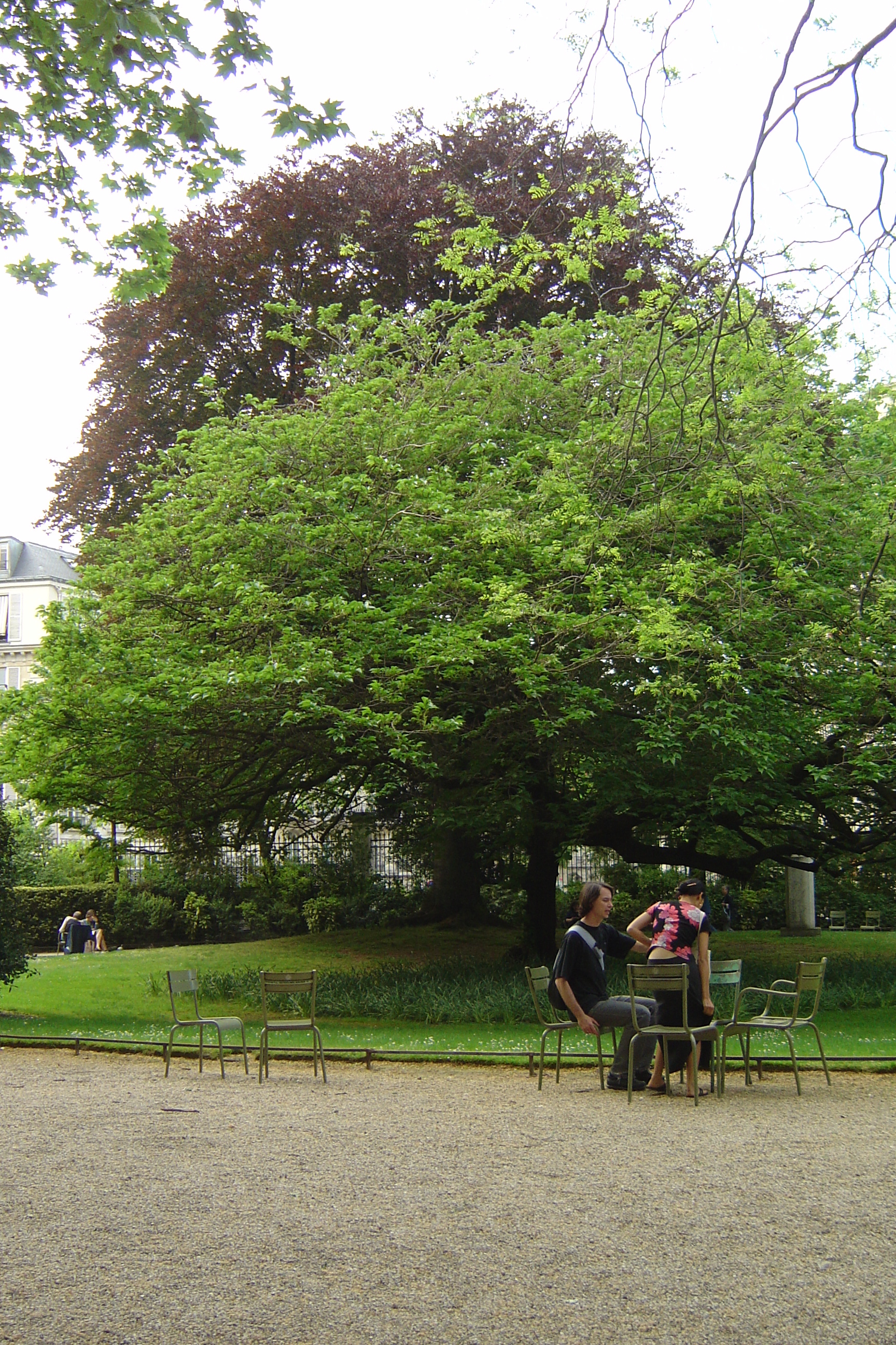 Picture France Paris Luxembourg Garden 2007-04 74 - Discovery Luxembourg Garden