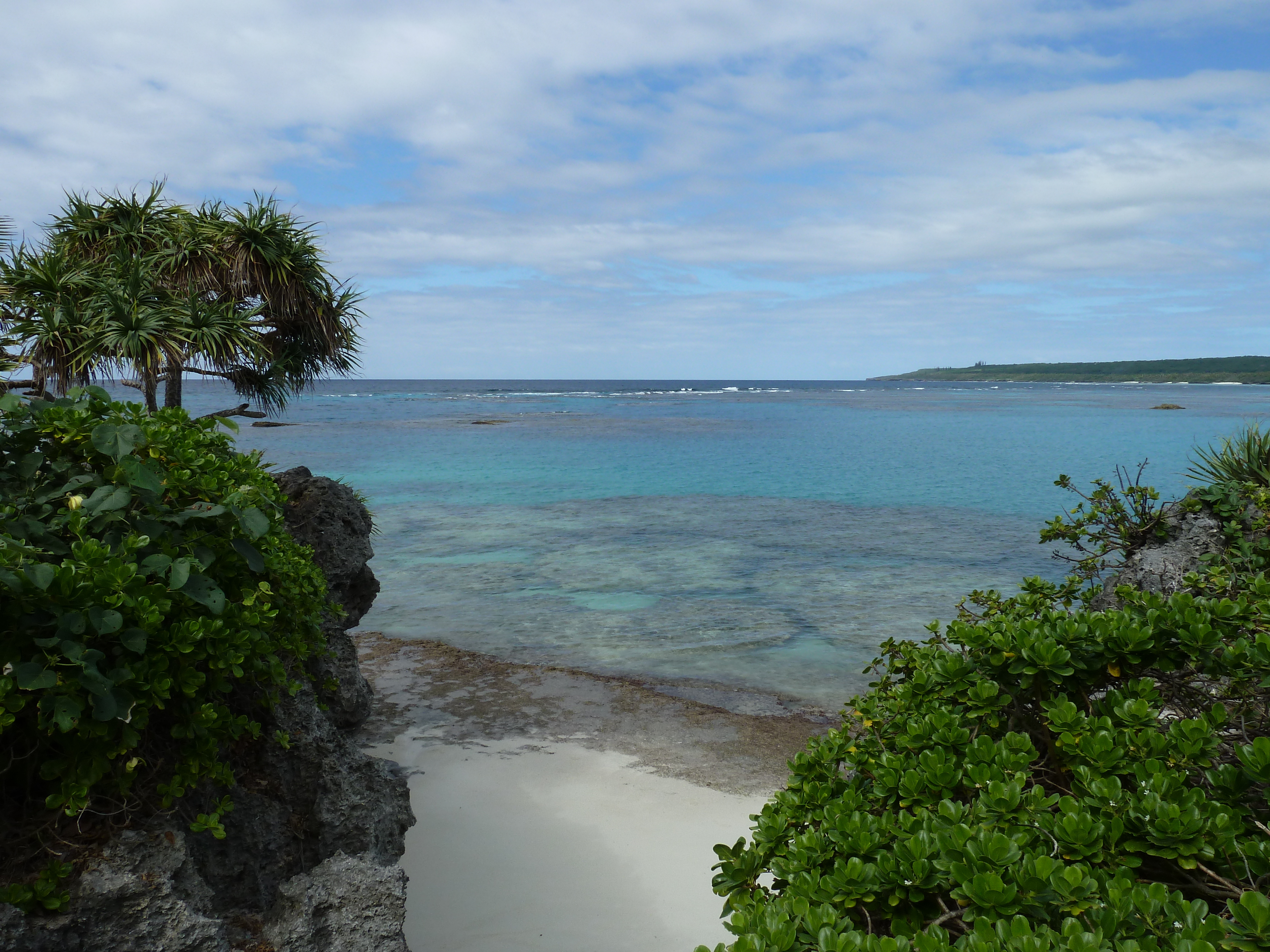 Picture New Caledonia Lifou Baie des tortues 2010-05 8 - Tours Baie des tortues