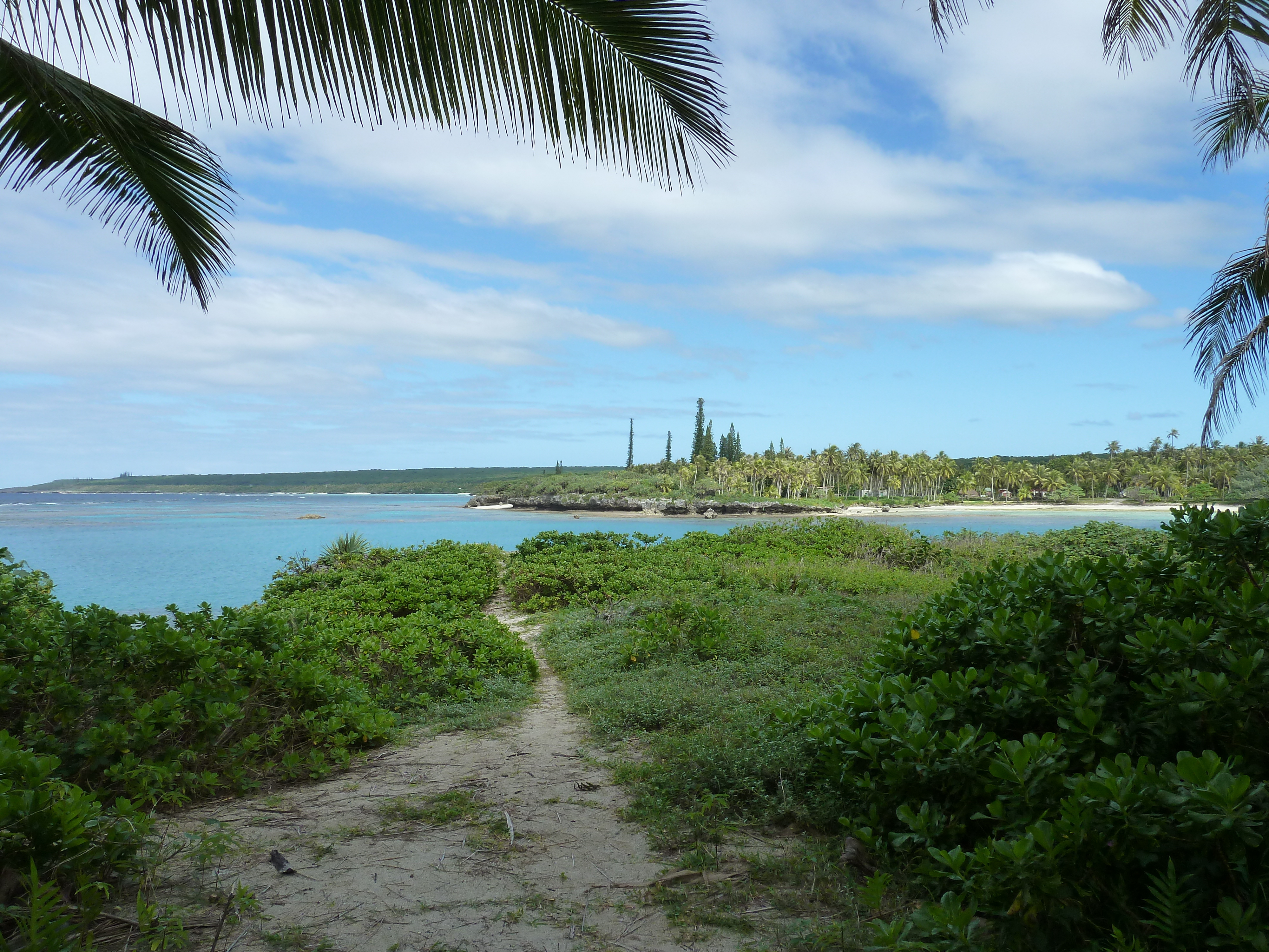 Picture New Caledonia Lifou Baie des tortues 2010-05 22 - History Baie des tortues