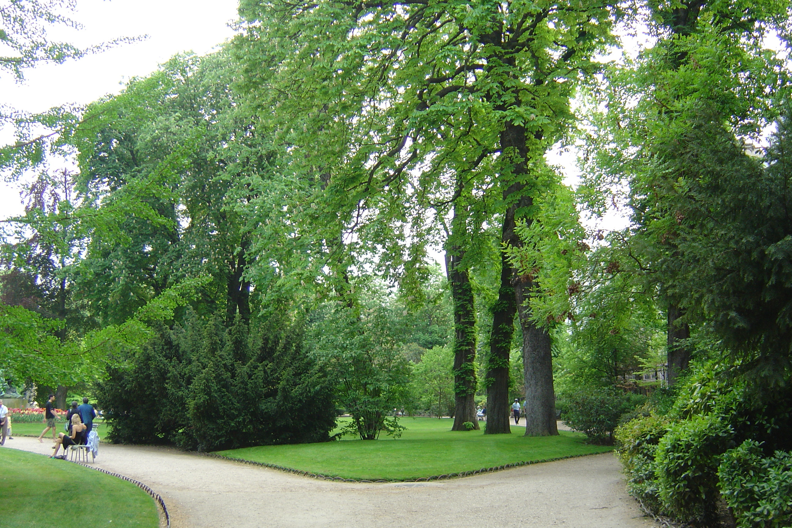 Picture France Paris Luxembourg Garden 2007-04 103 - Tour Luxembourg Garden