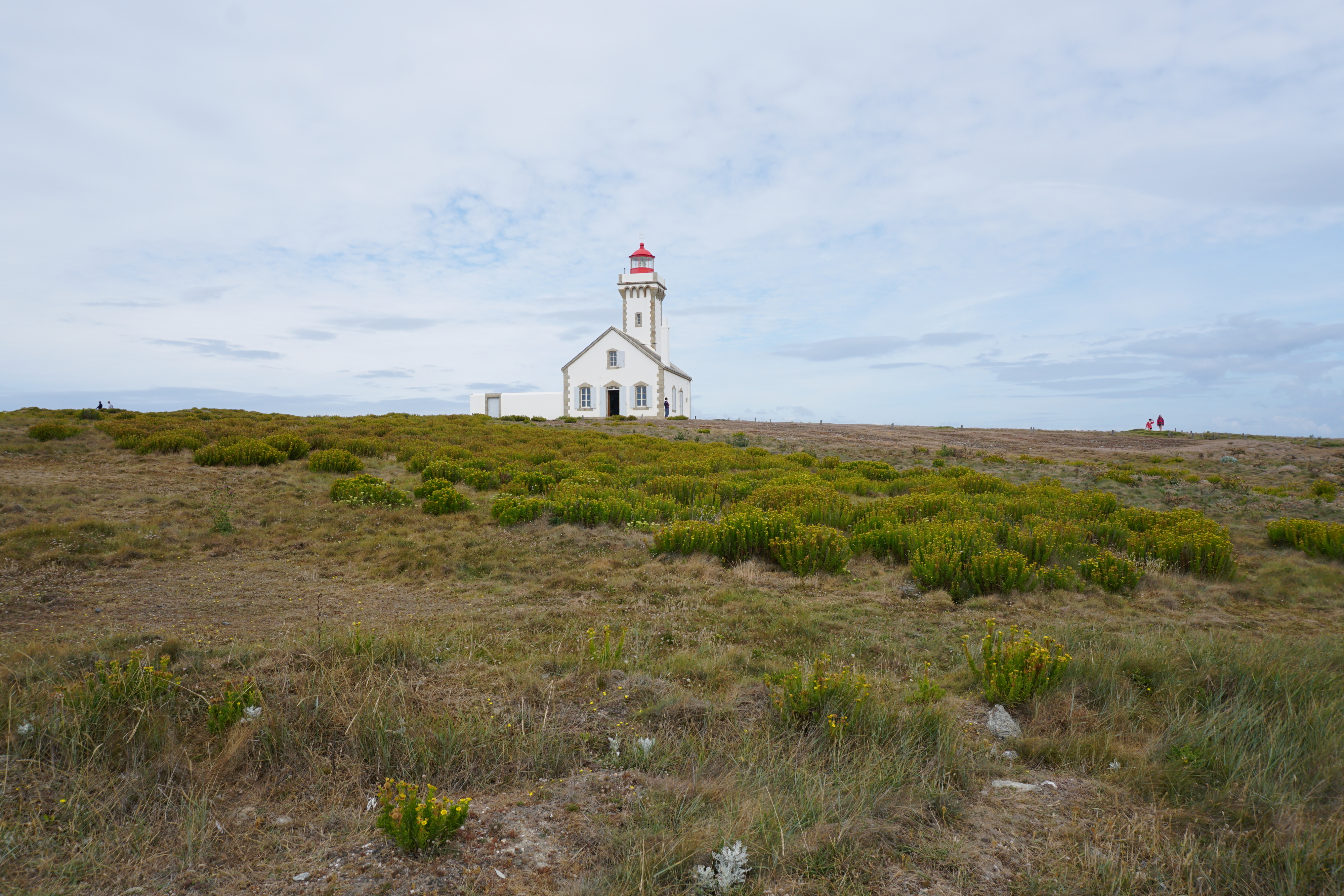 Picture France Belle-Ile 2016-08 167 - Journey Belle-Ile