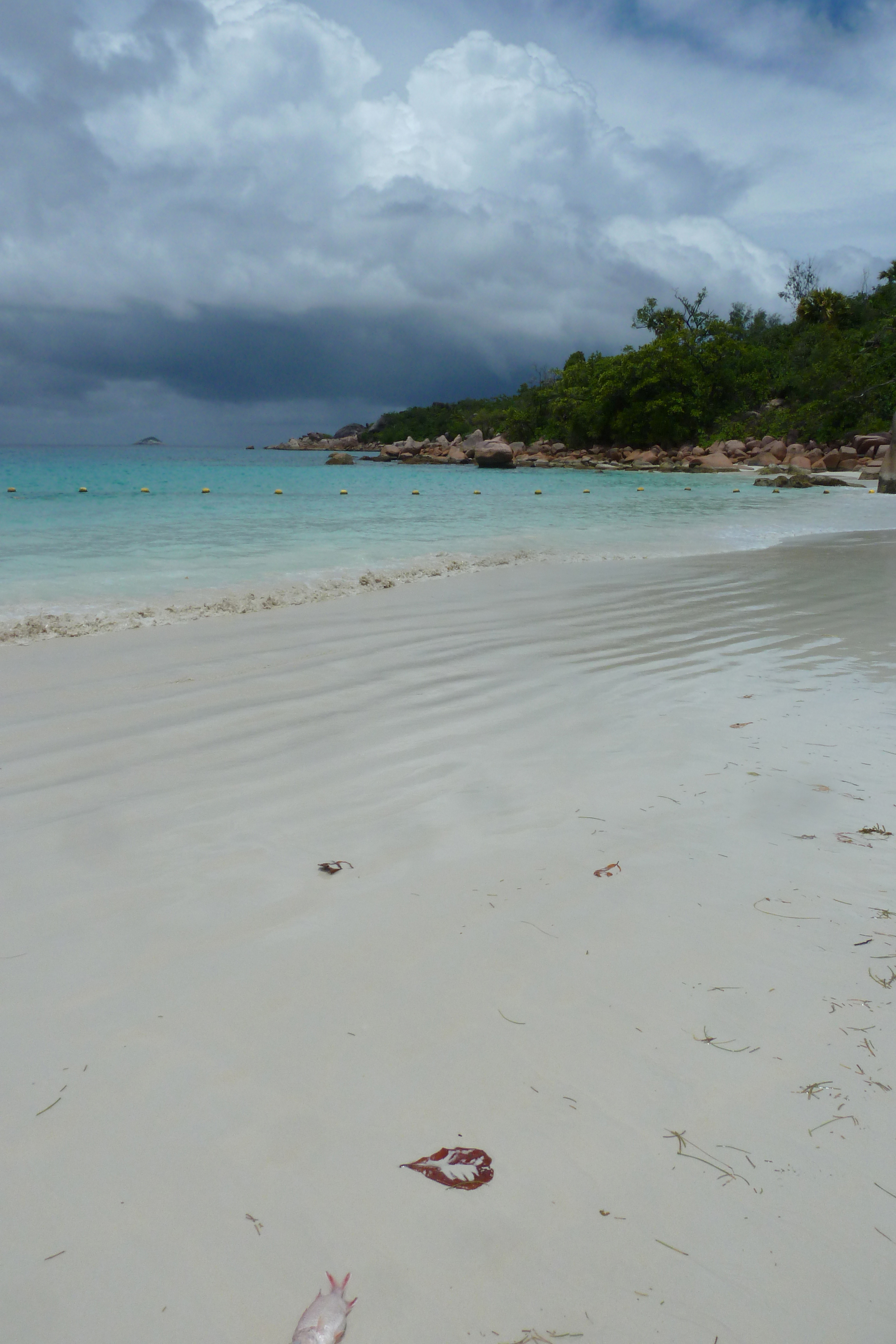 Picture Seychelles Anse Lazio 2011-10 155 - Center Anse Lazio