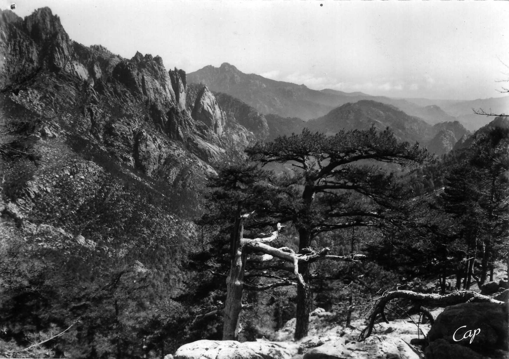 Picture France Corsica Old Postcards 1900-01 141 - Tour Old Postcards