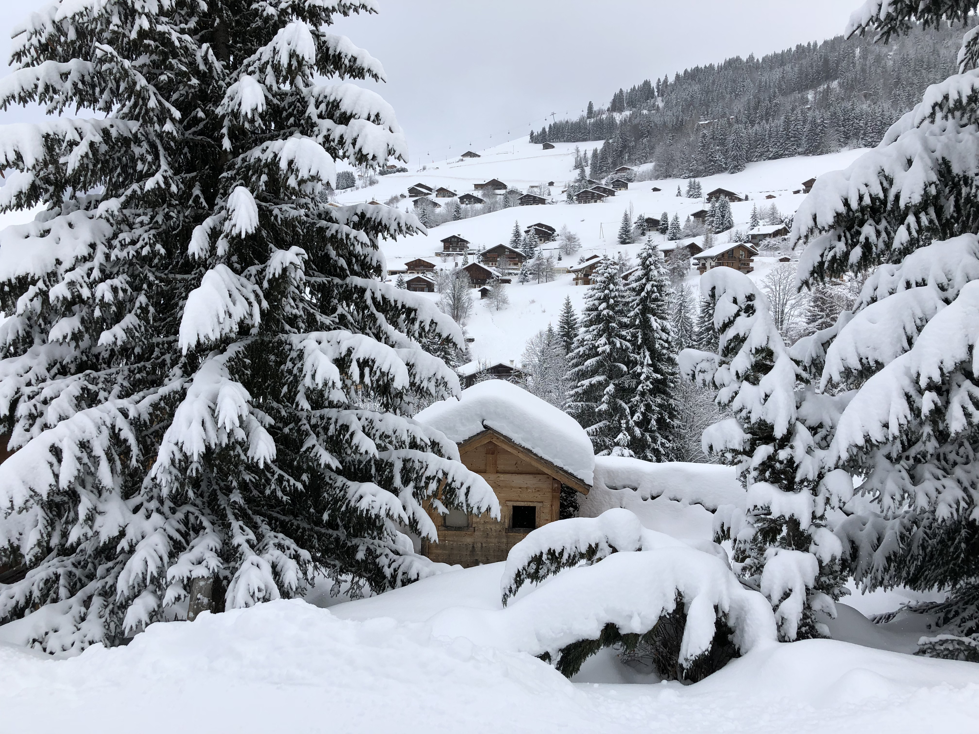 Picture France La Clusaz 2017-12 66 - History La Clusaz