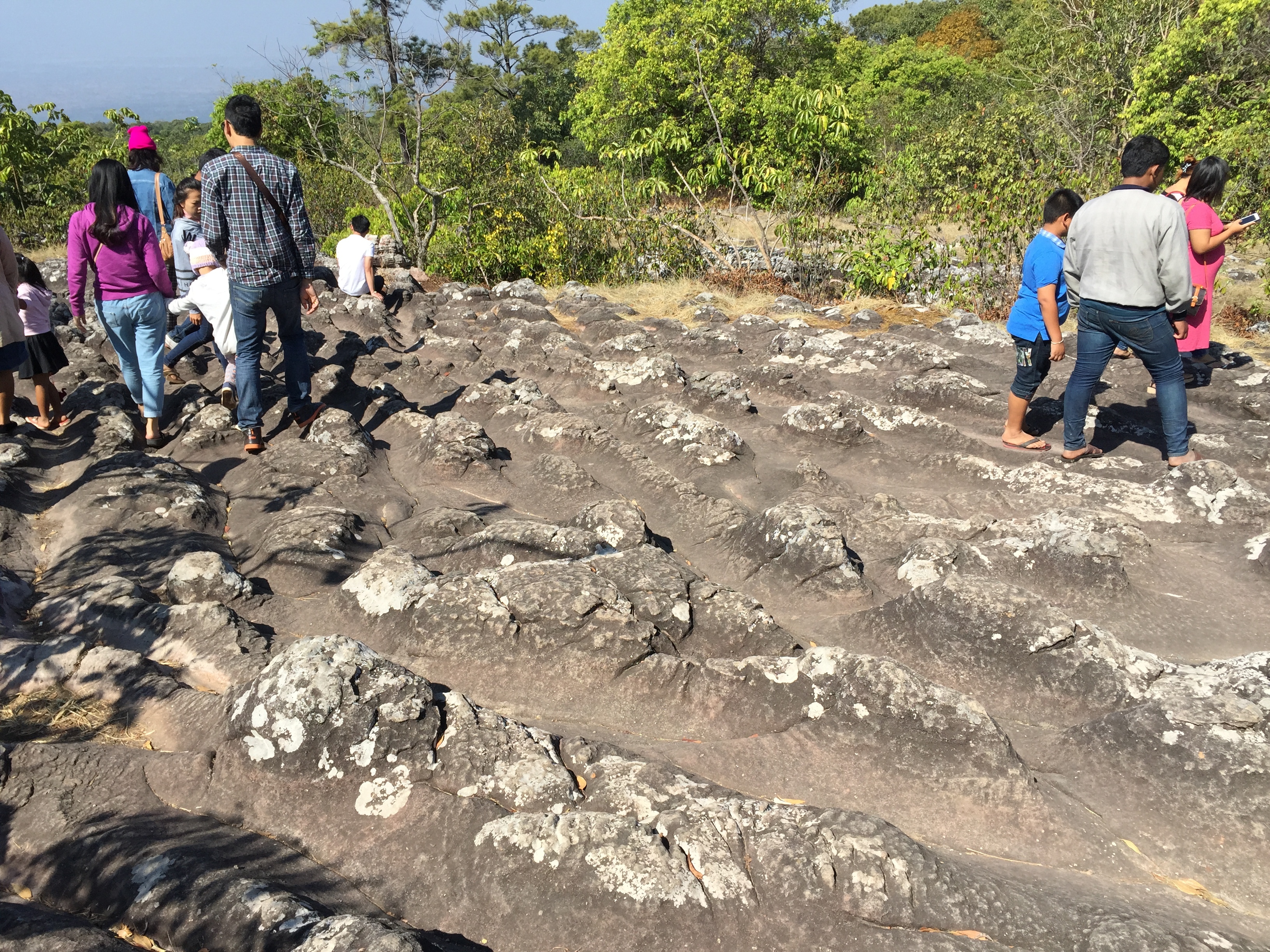 Picture Thailand Phu Hin Rong Kla National Park 2014-12 82 - Journey Phu Hin Rong Kla National Park