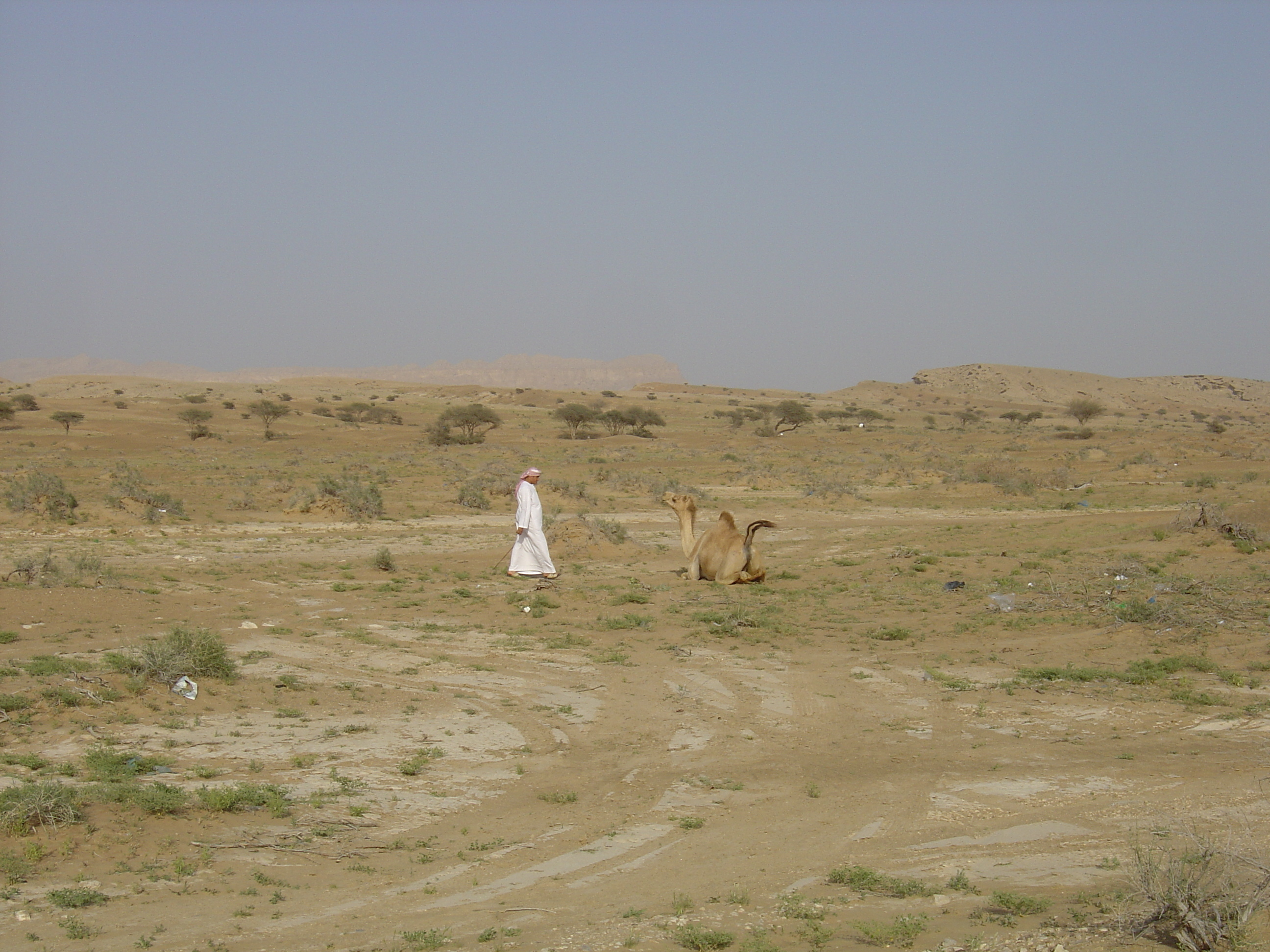 Picture Sultanate of Oman Buraimi to Mahada road 2005-03 18 - Discovery Buraimi to Mahada road