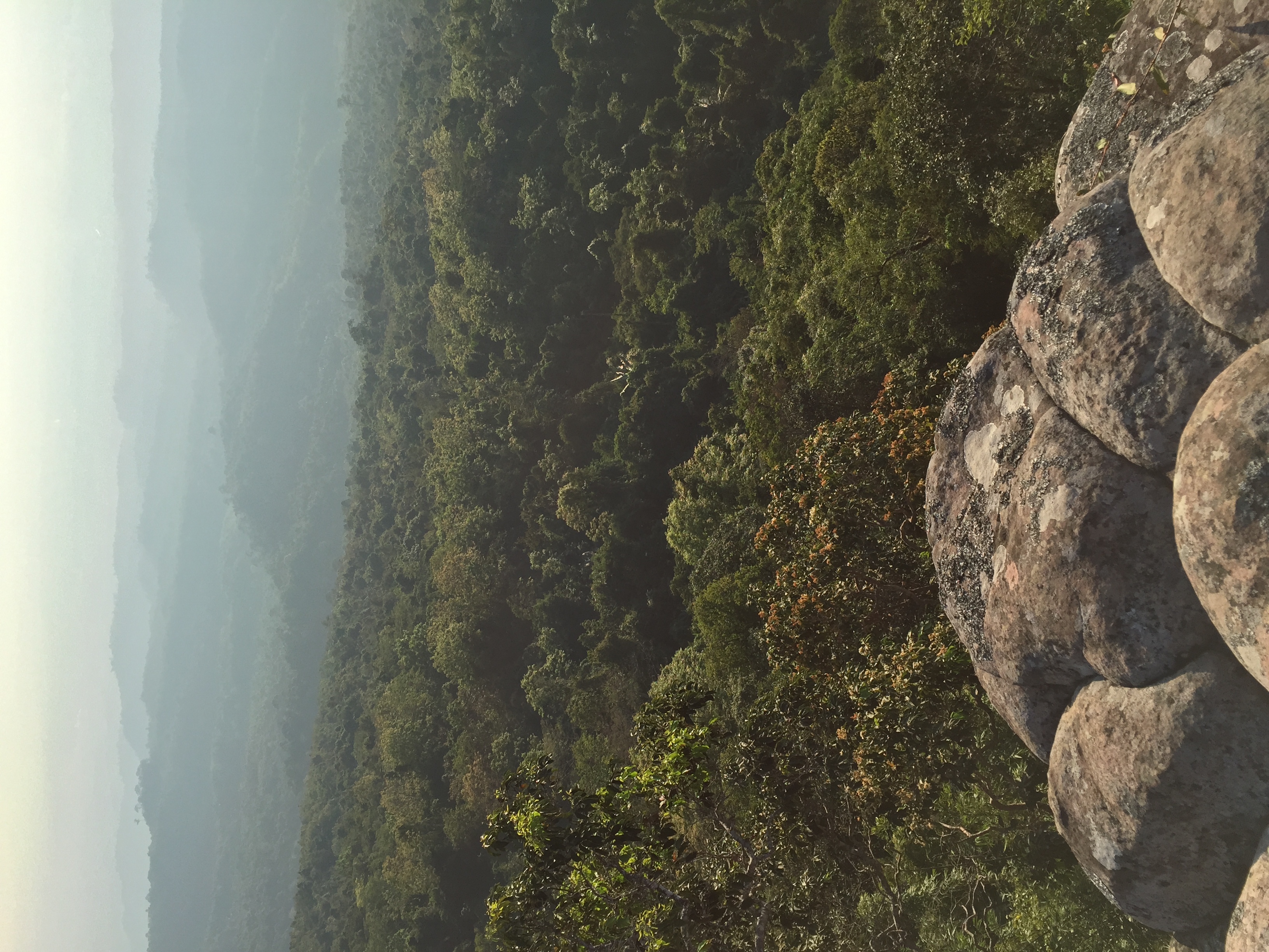 Picture Thailand Phu Hin Rong Kla National Park 2014-12 55 - Around Phu Hin Rong Kla National Park