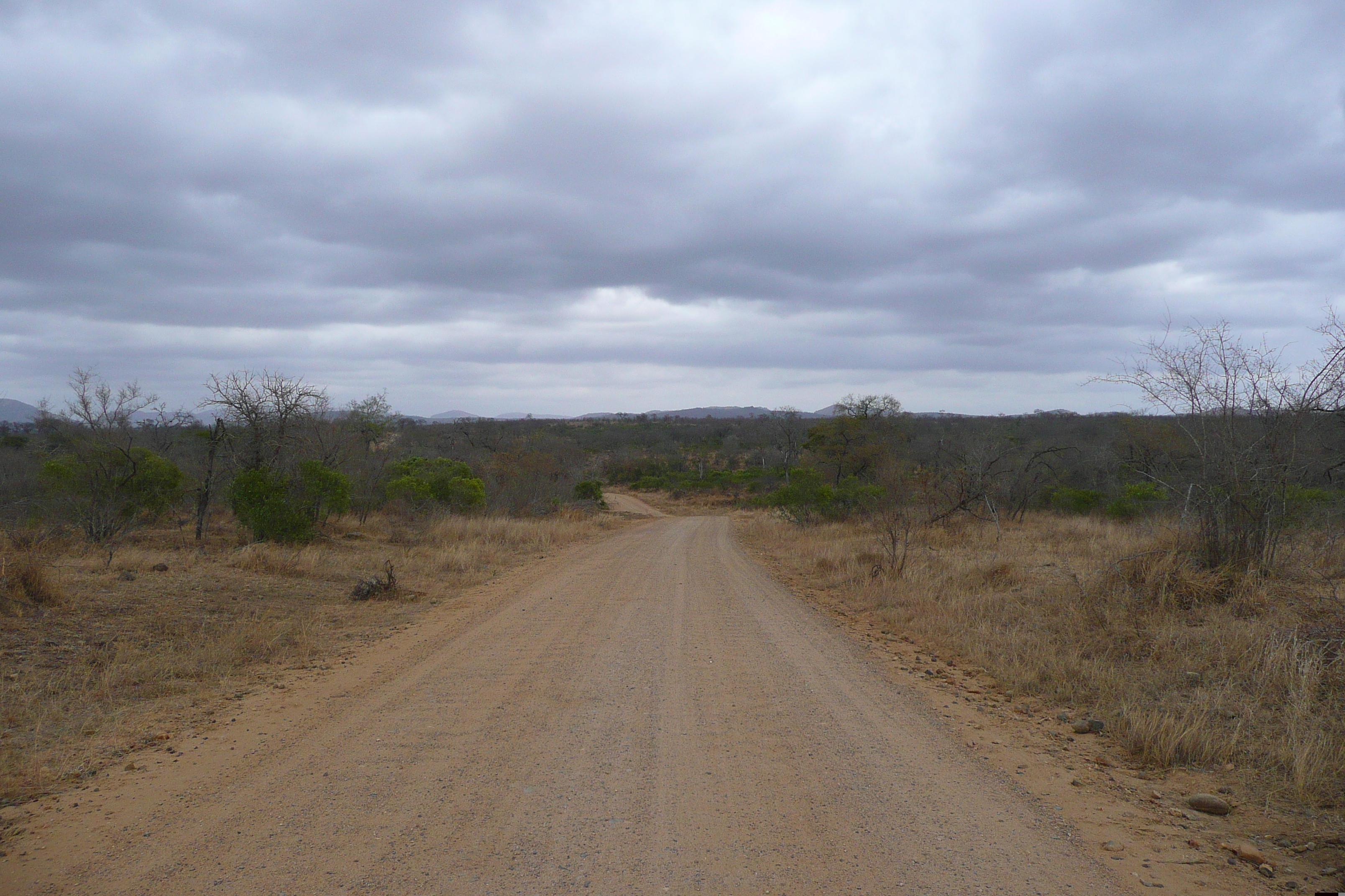 Picture South Africa Kruger National Park Crocodile River road 2008-09 1 - Tours Crocodile River road