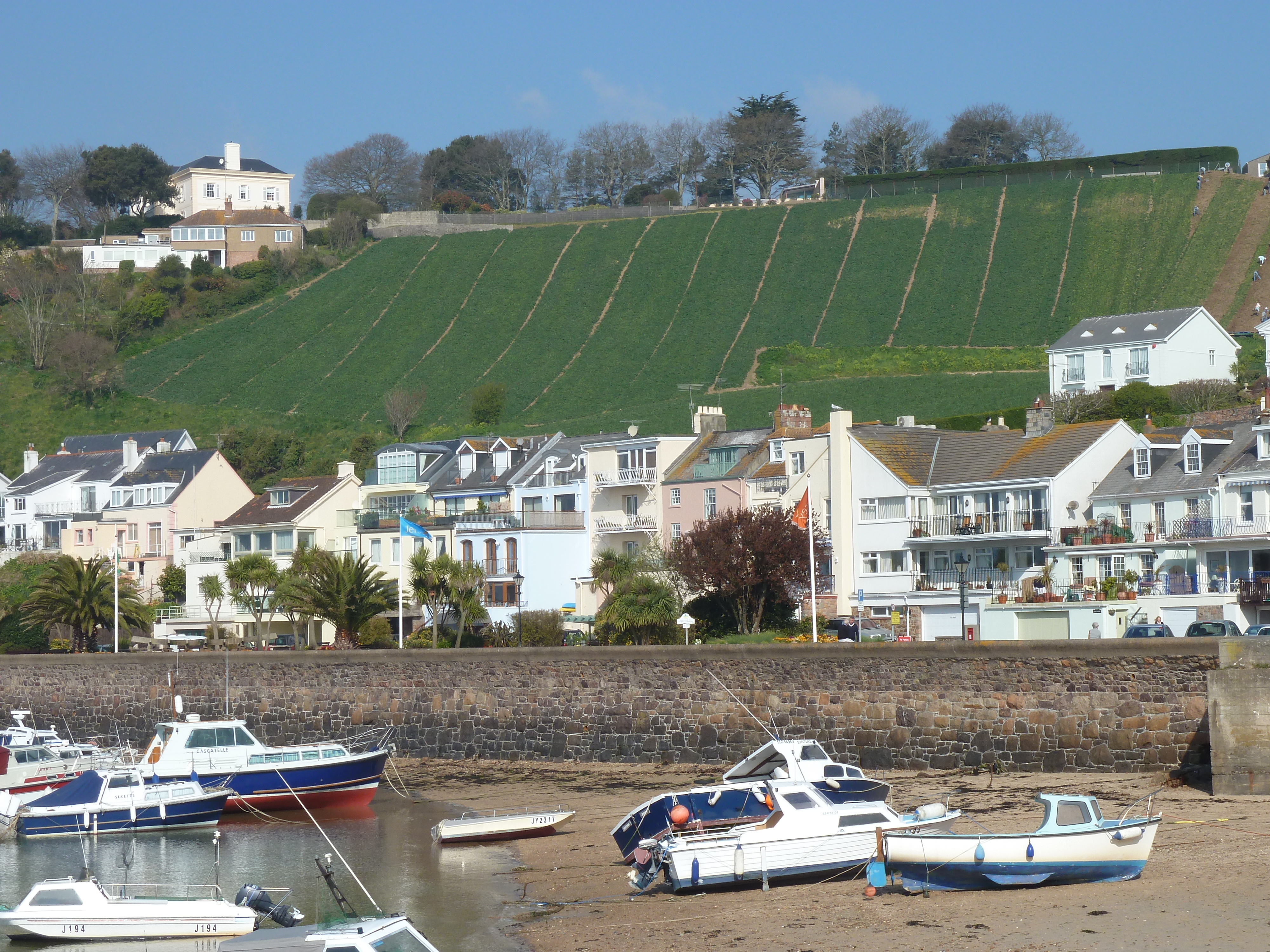 Picture Jersey Jersey Gorey 2010-04 16 - Discovery Gorey