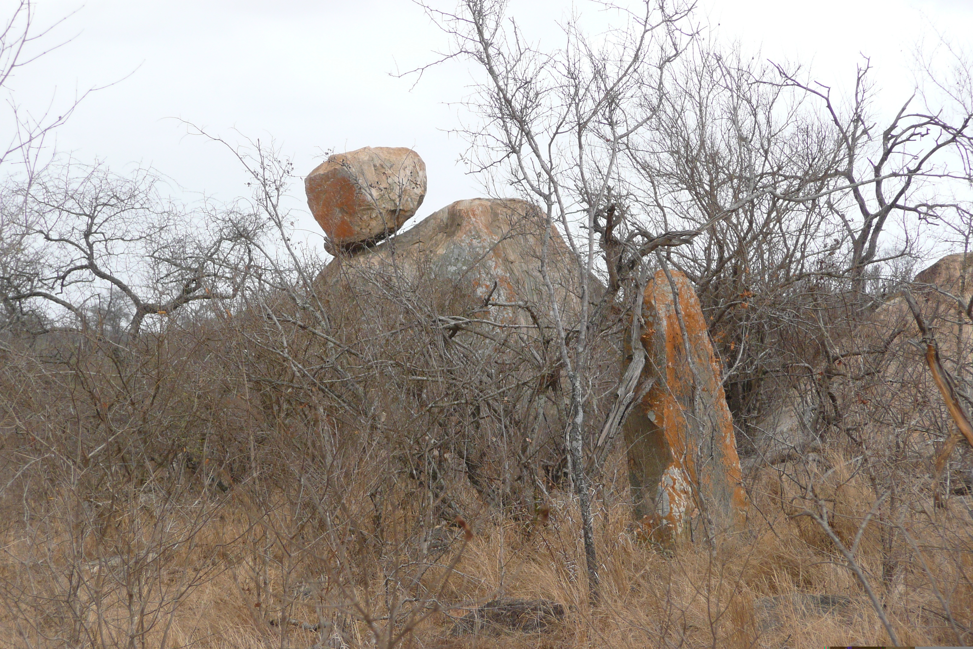 Picture South Africa Kruger National Park Crocodile River road 2008-09 10 - Discovery Crocodile River road