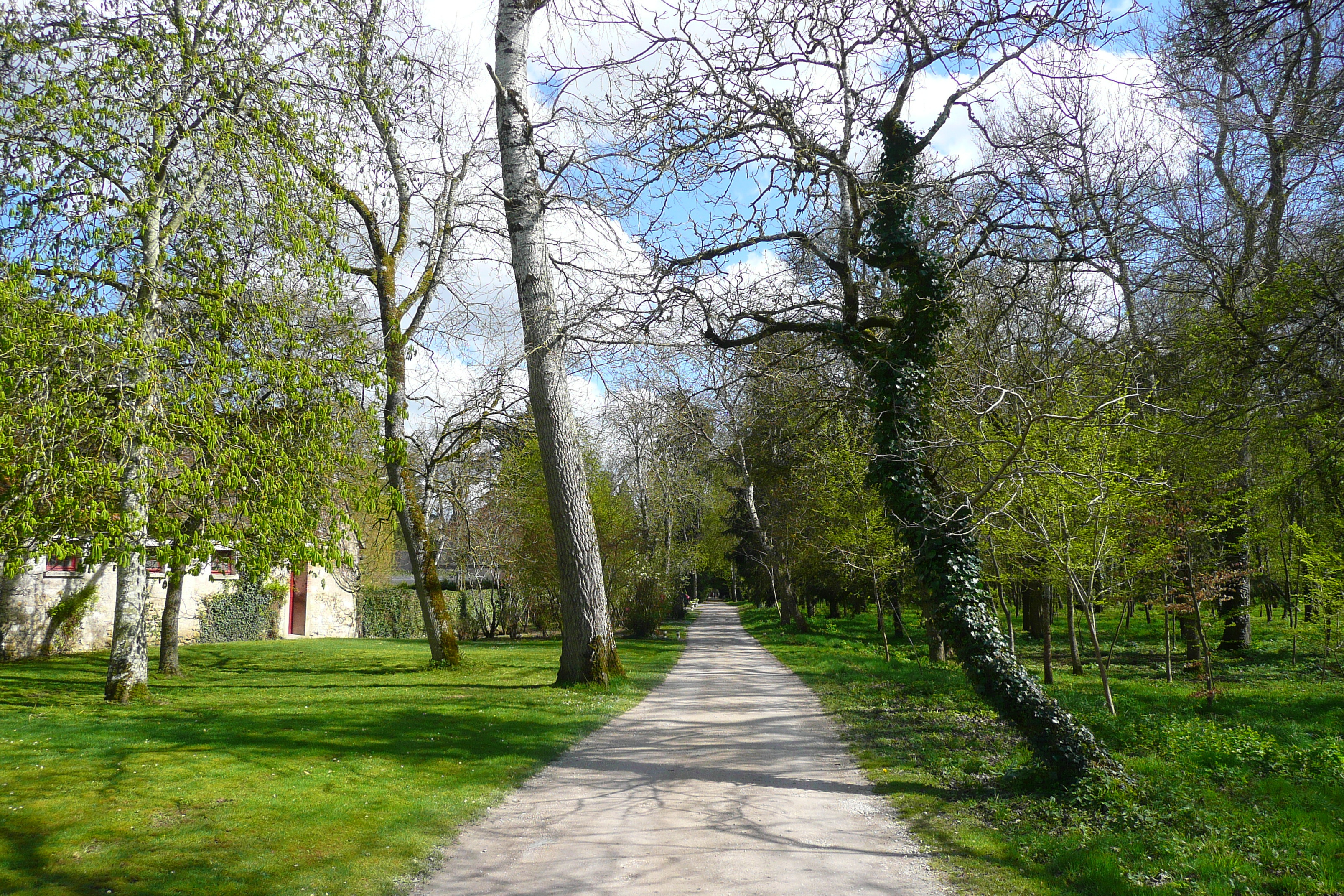 Picture France Chenonceau Castle Gardens of Chenonceau 2008-04 75 - History Gardens of Chenonceau