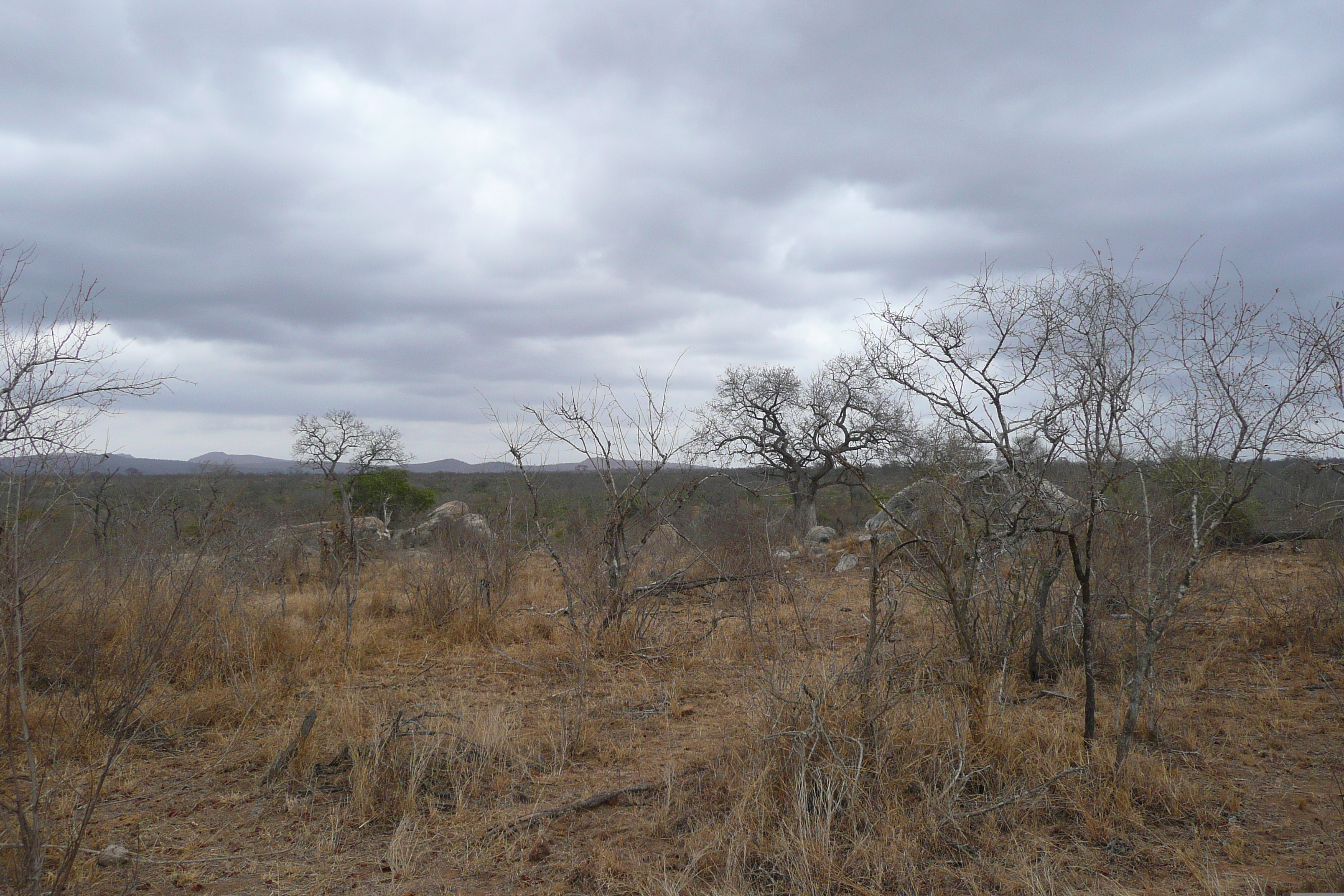 Picture South Africa Kruger National Park Crocodile River road 2008-09 11 - History Crocodile River road