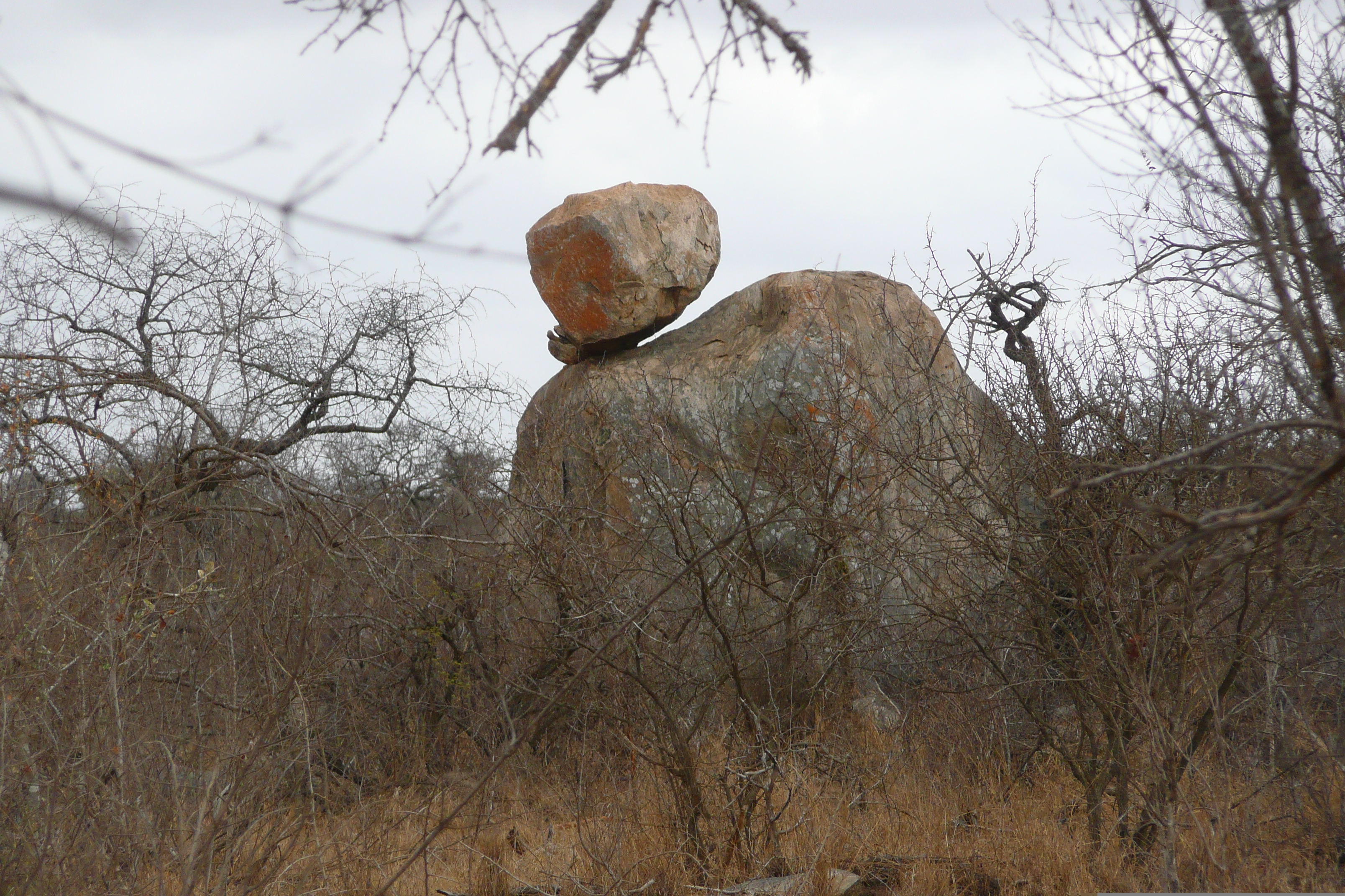 Picture South Africa Kruger National Park Crocodile River road 2008-09 66 - Tours Crocodile River road