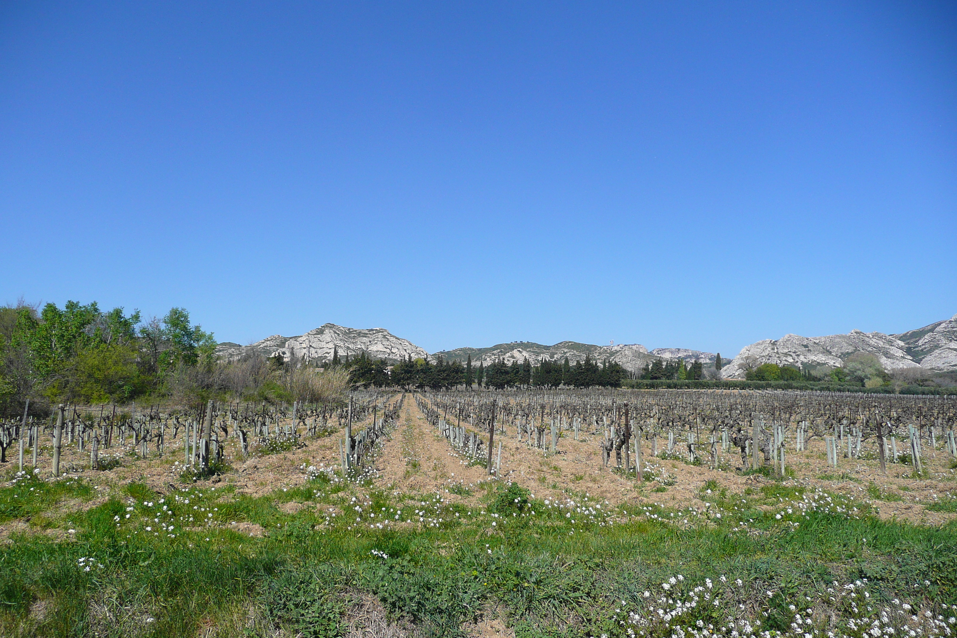 Picture France Provence Mouries to Baux de Provence road 2008-04 7 - Recreation Mouries to Baux de Provence road