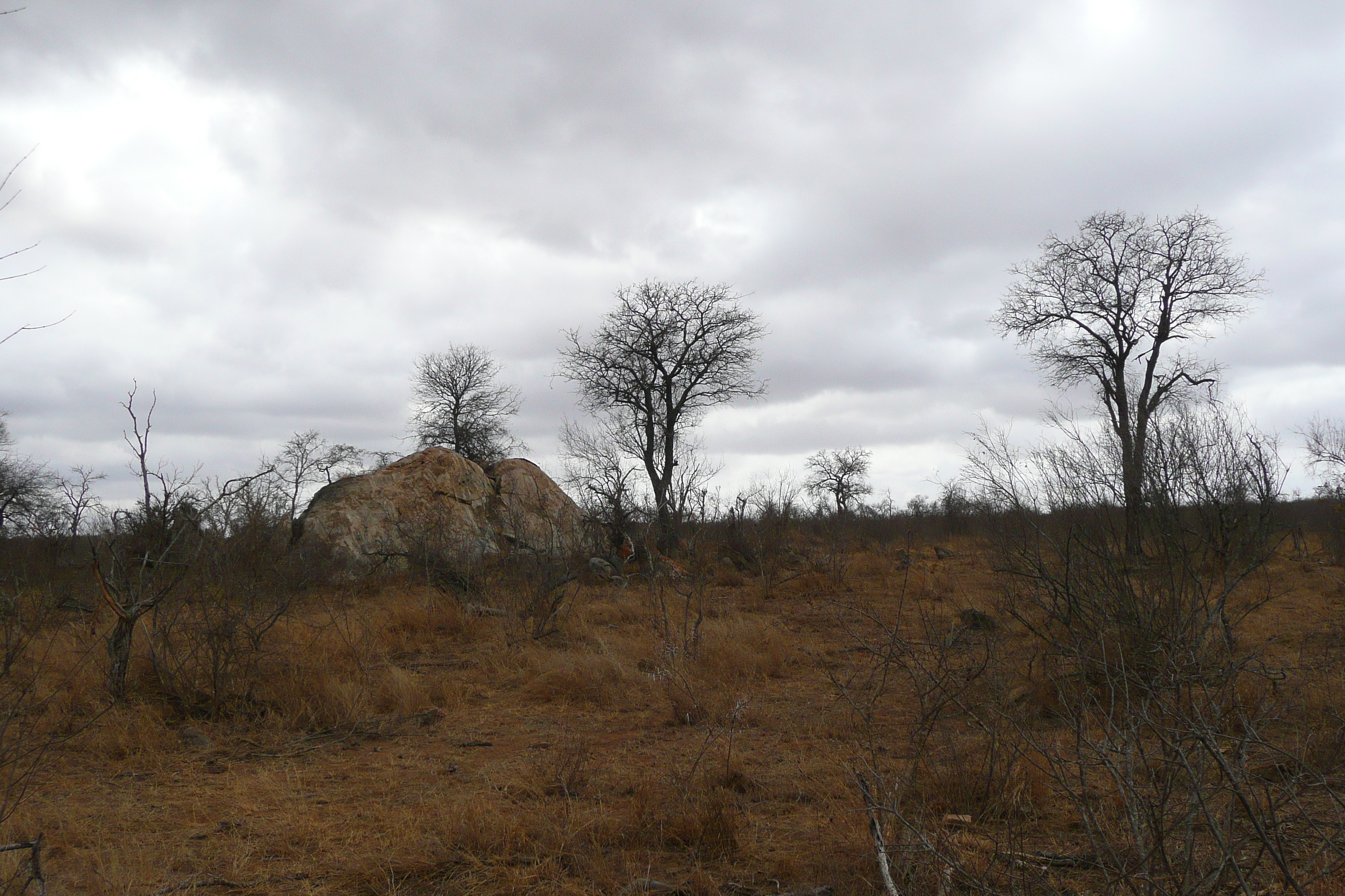 Picture South Africa Kruger National Park Crocodile River road 2008-09 61 - Recreation Crocodile River road