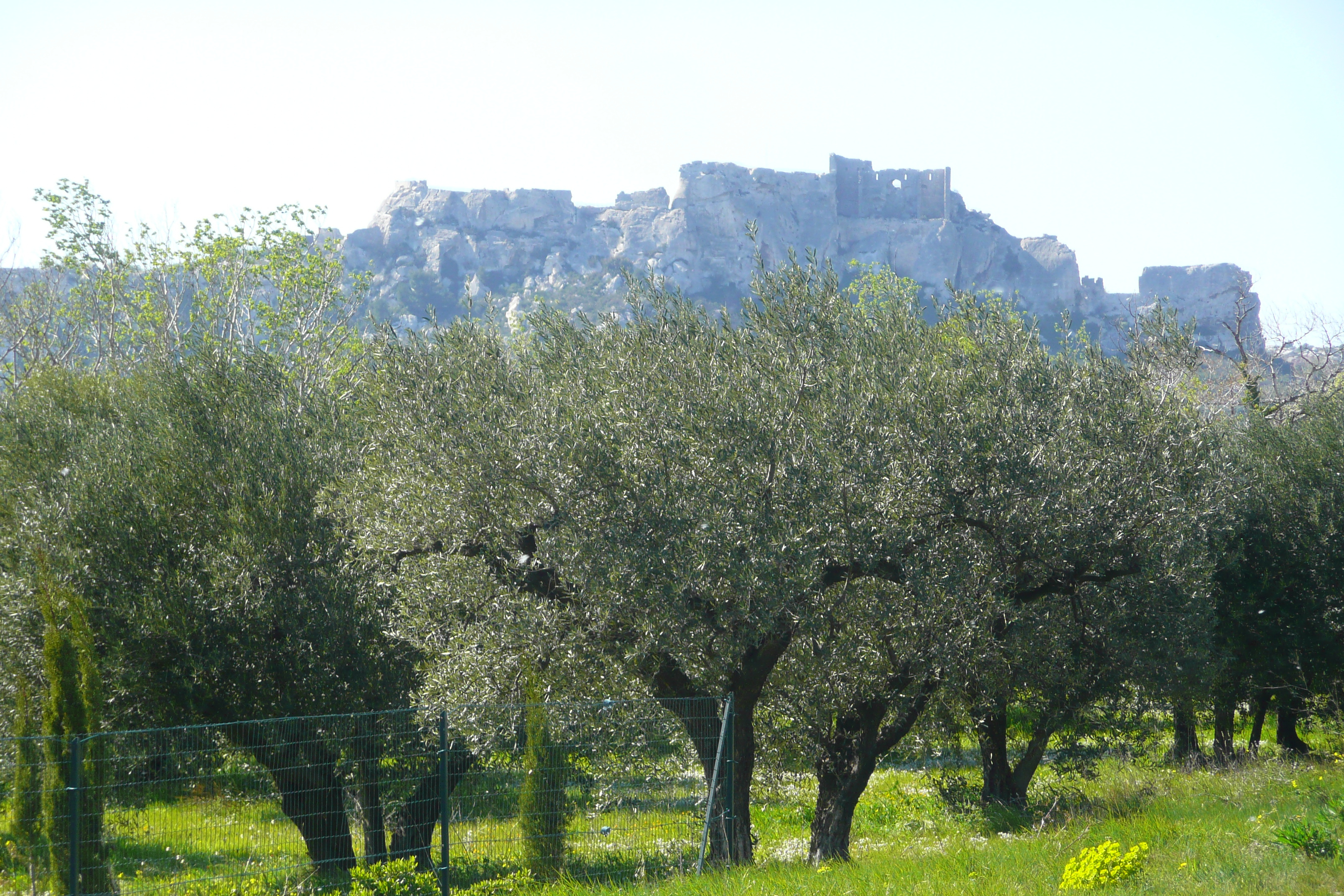 Picture France Provence Mouries to Baux de Provence road 2008-04 8 - History Mouries to Baux de Provence road