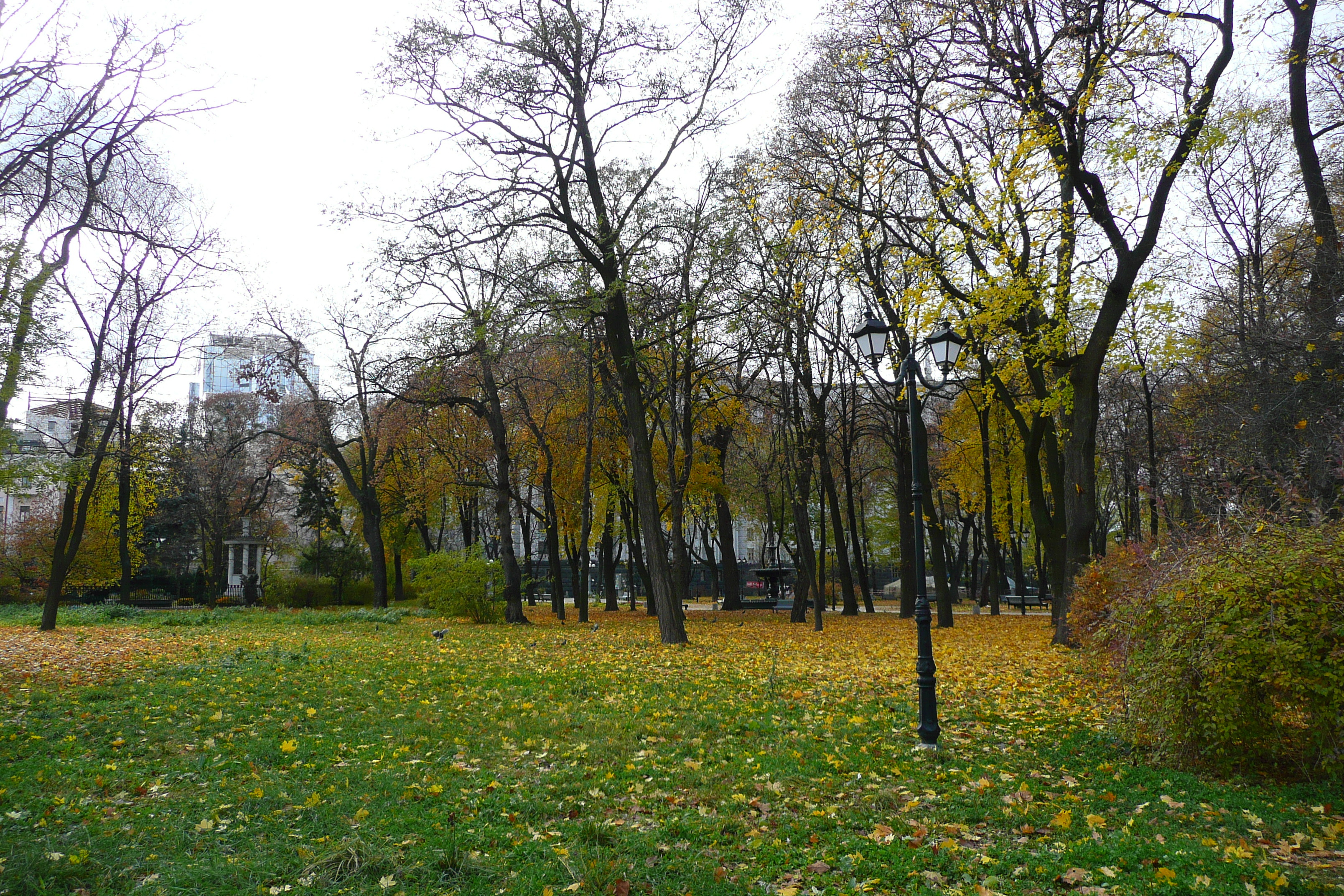 Picture Ukraine Kiev Mariinsky 2007-11 15 - Tours Mariinsky