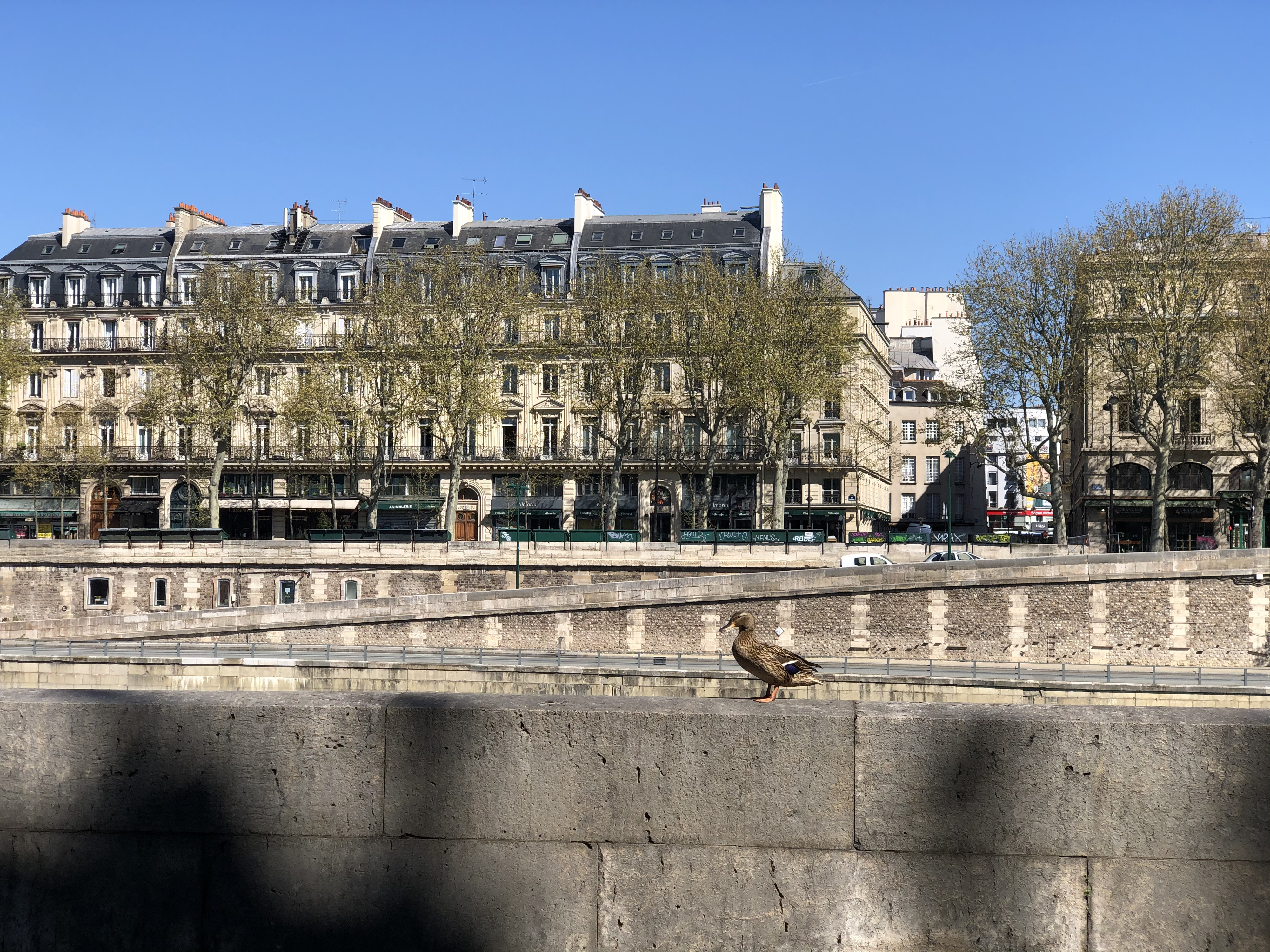 Picture France Paris lockdown 2020-04 300 - Tours Paris lockdown